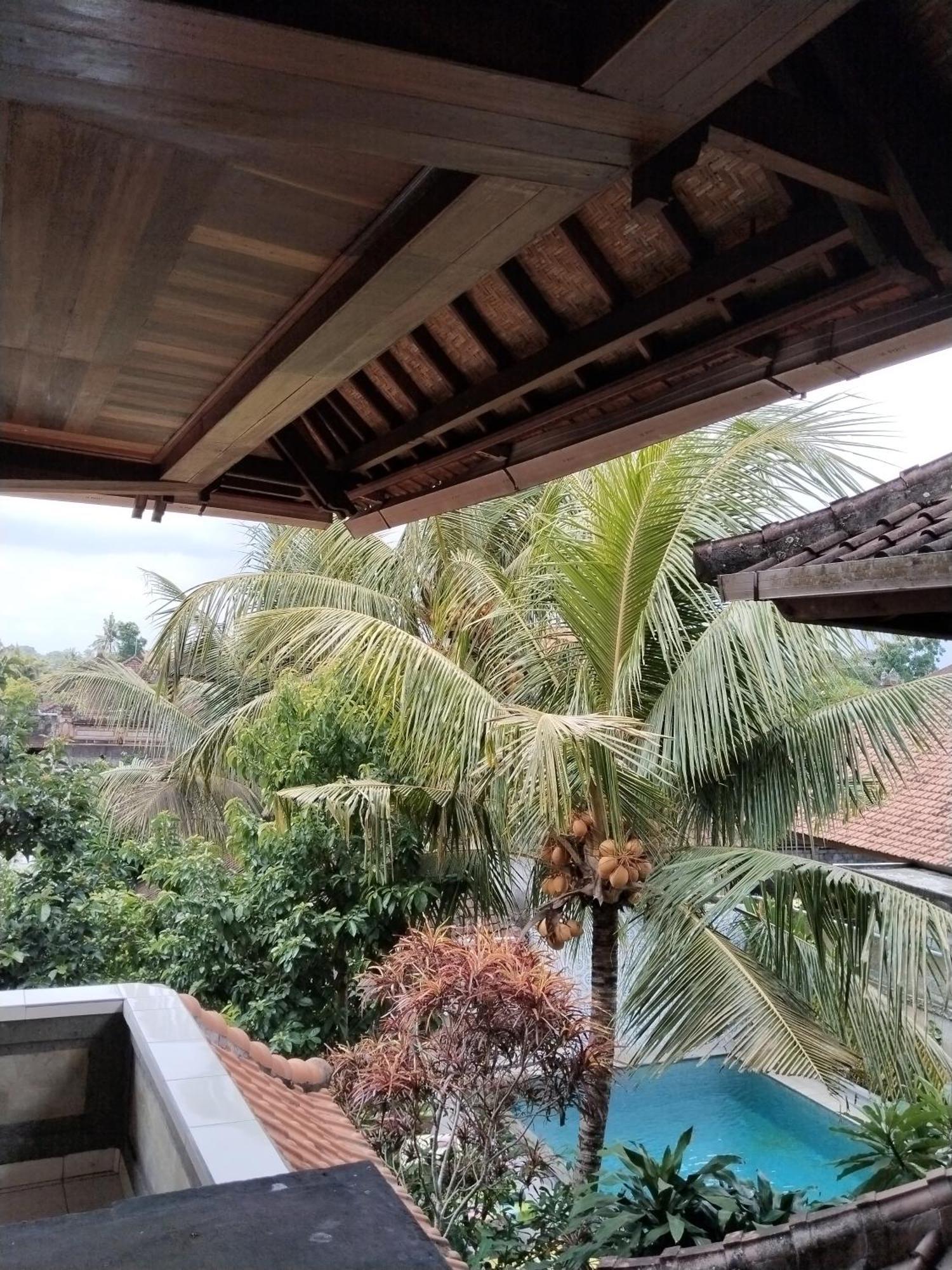 Wisma tamu Dewa 2*