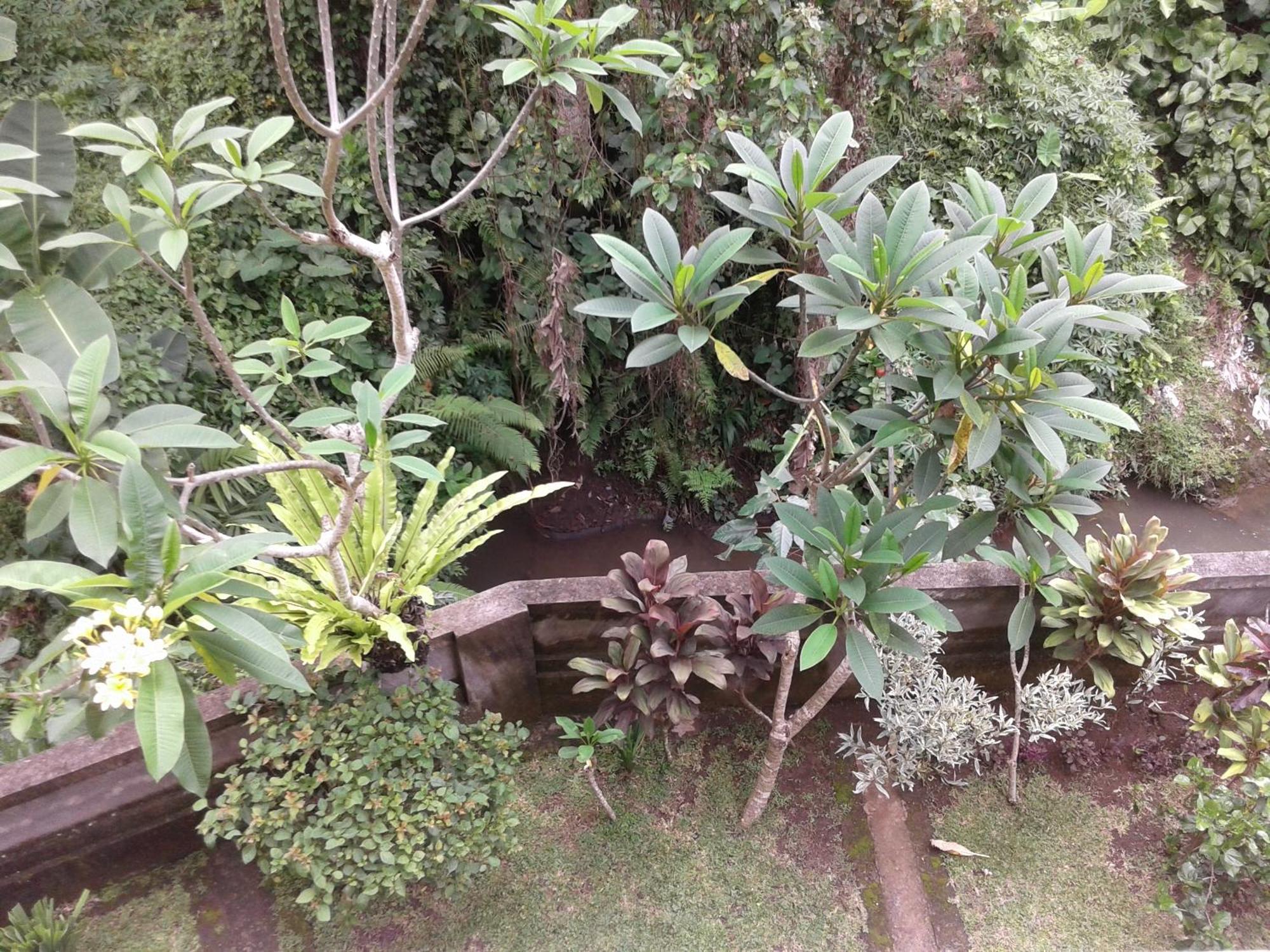 Dewi Ayu Rumah tetamu