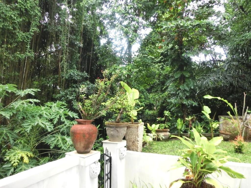 Latugu Guest house