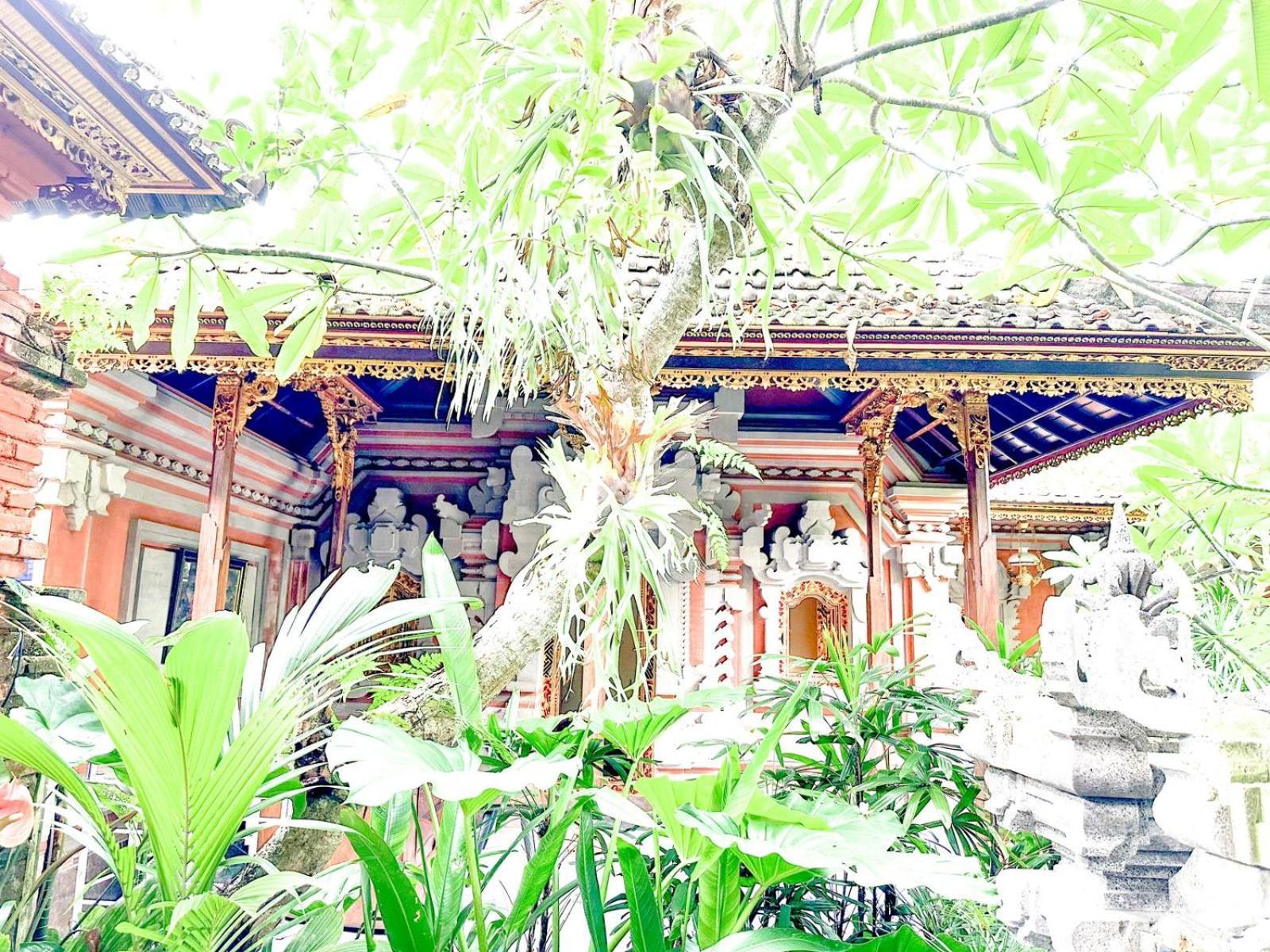 Ojek's Accommodatie bij particulieren Ubud