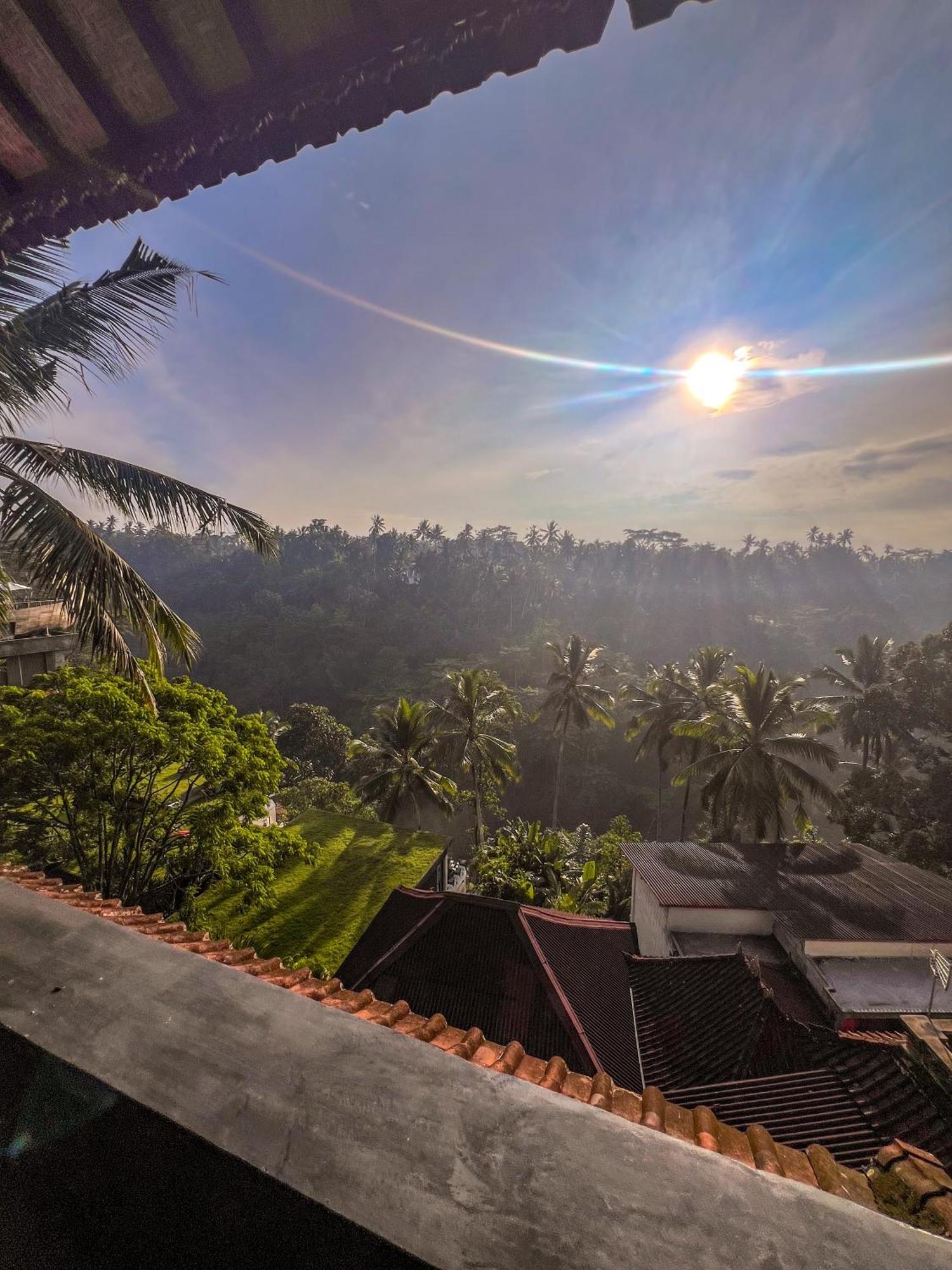 Made Punia's Jungle * Ubud