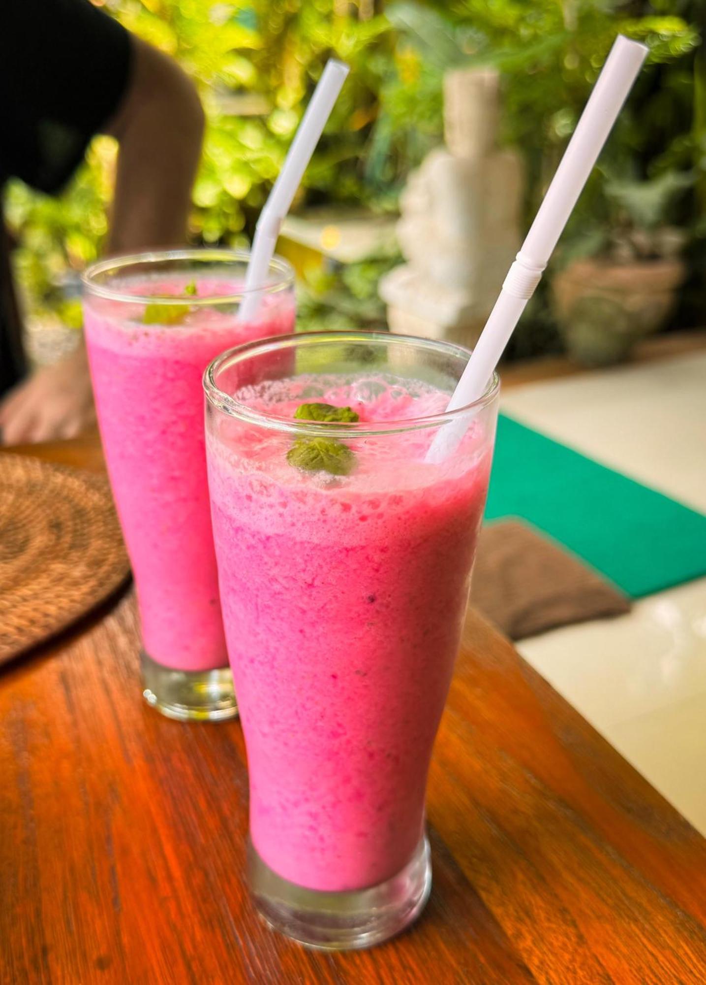 Inn Nirwa Karma Ubud (Bali)