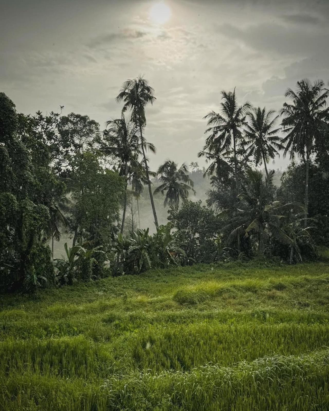 Nirwa Karma Ubud (Bali)