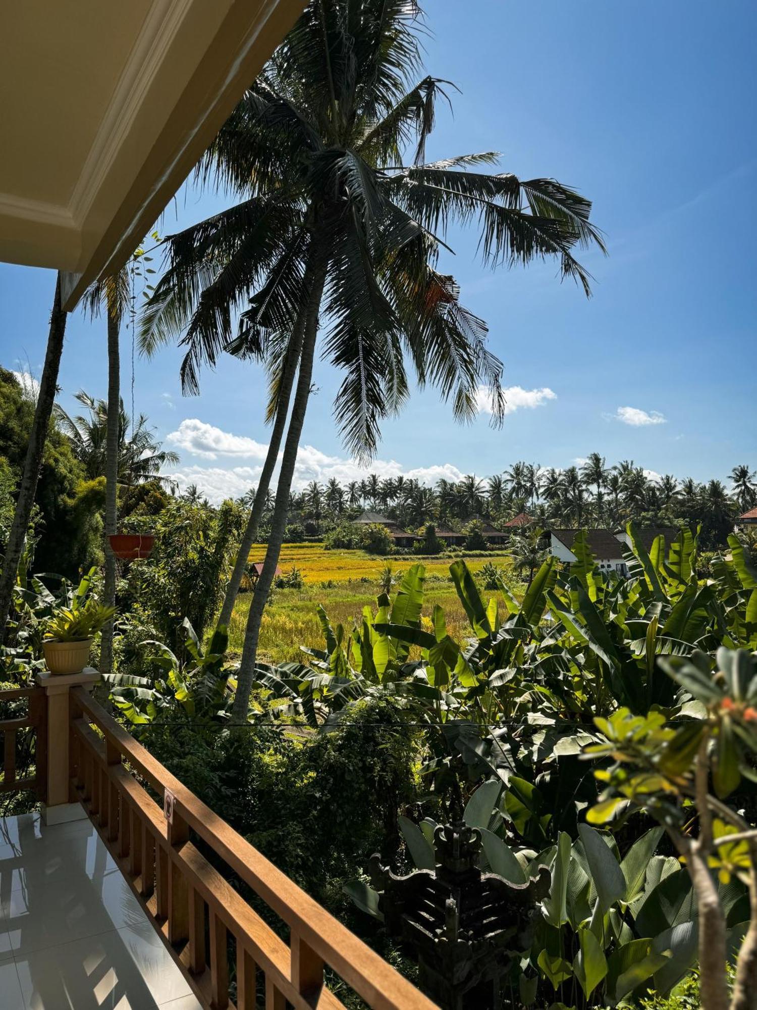 Nirwa Karma 2* Ubud (Bali)