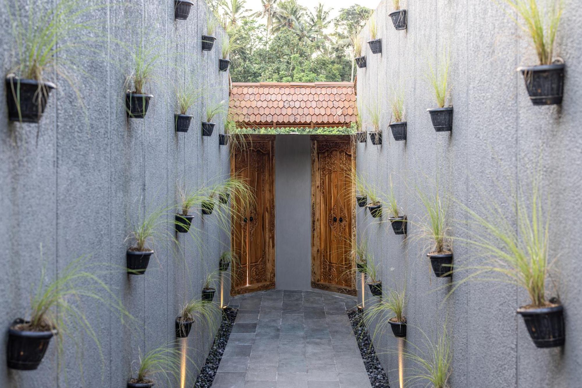 The Clifton Valley * Ubud