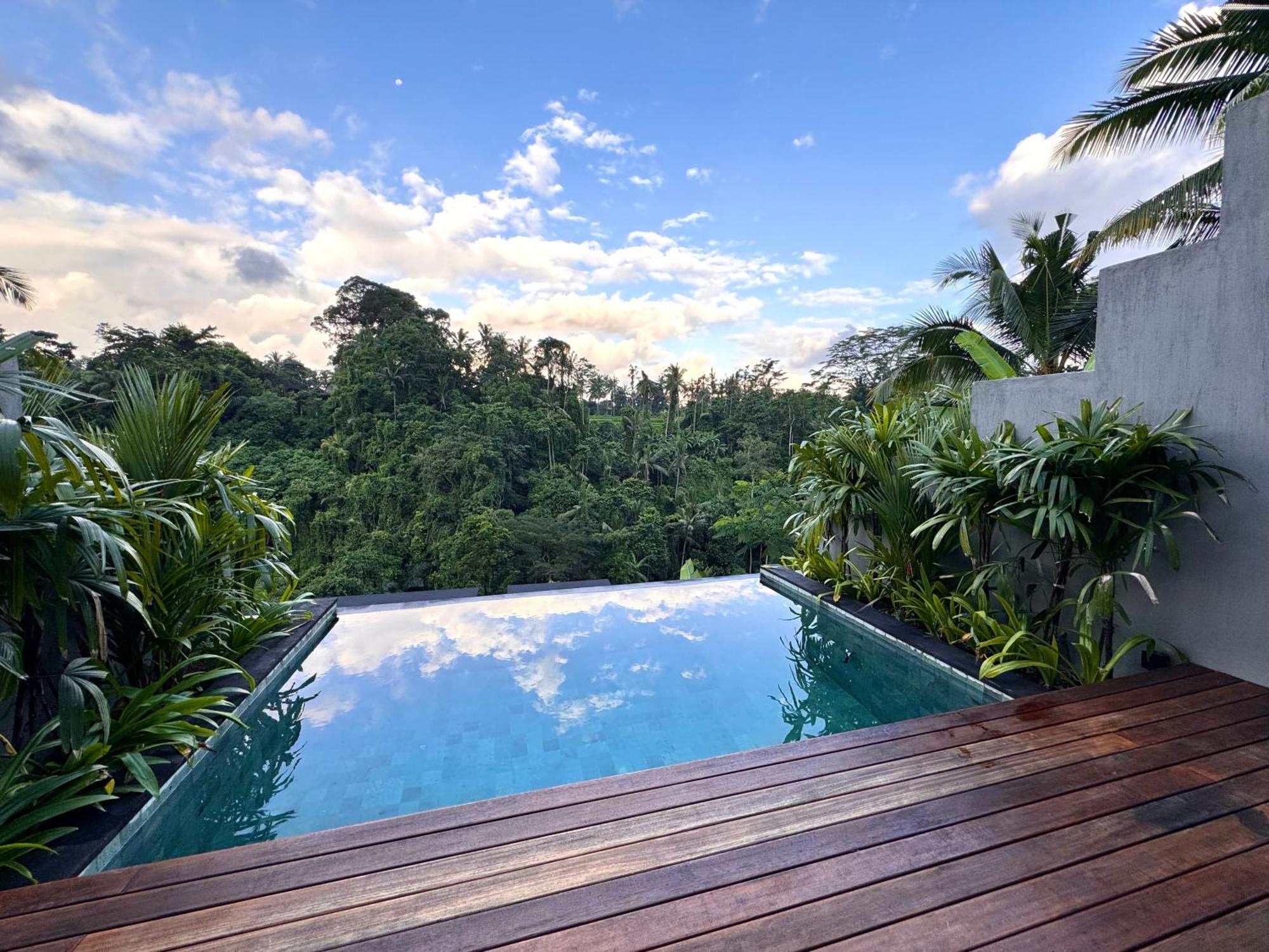 The Clifton Valley * Ubud