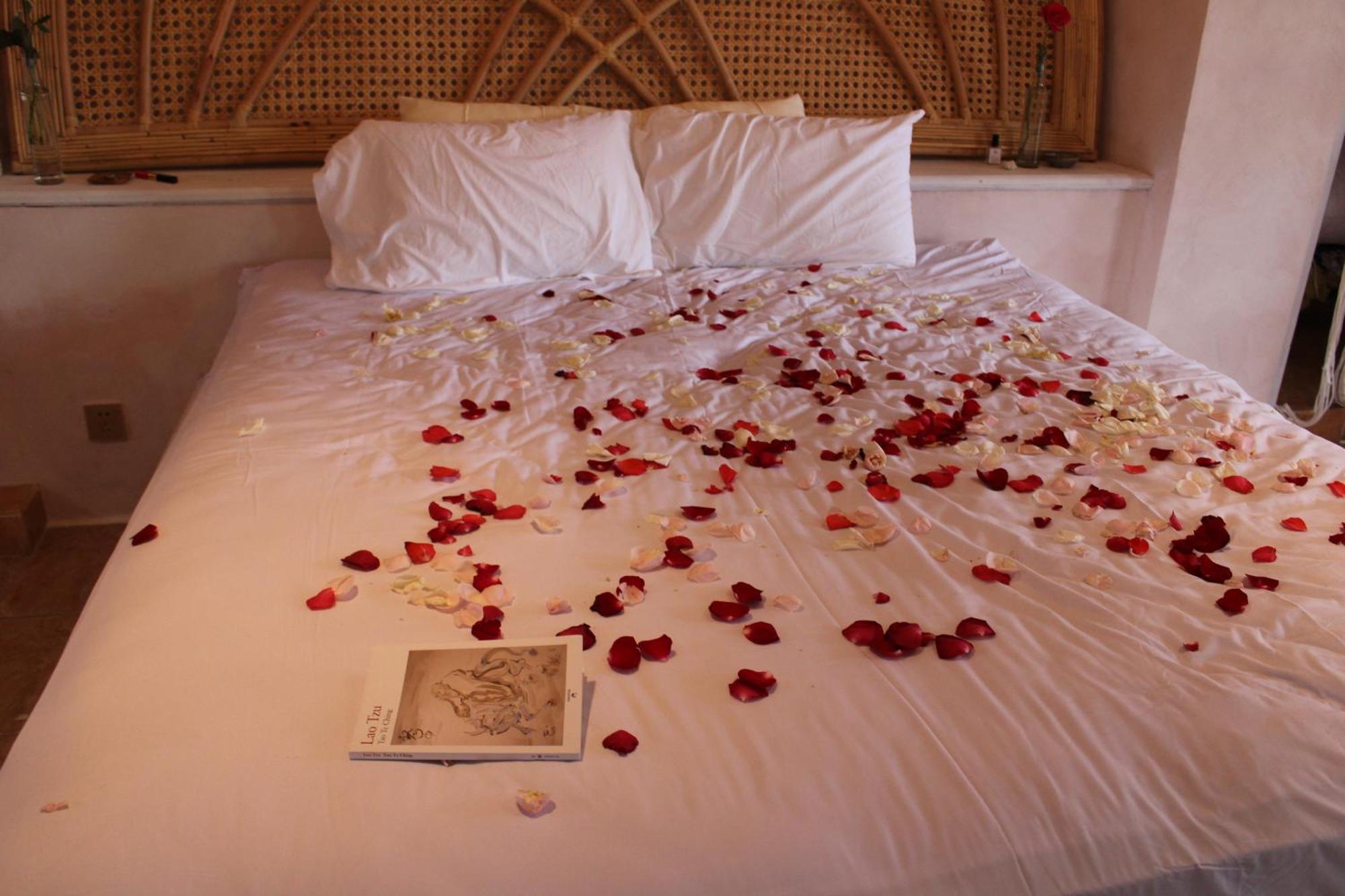 The Ivy Bali *