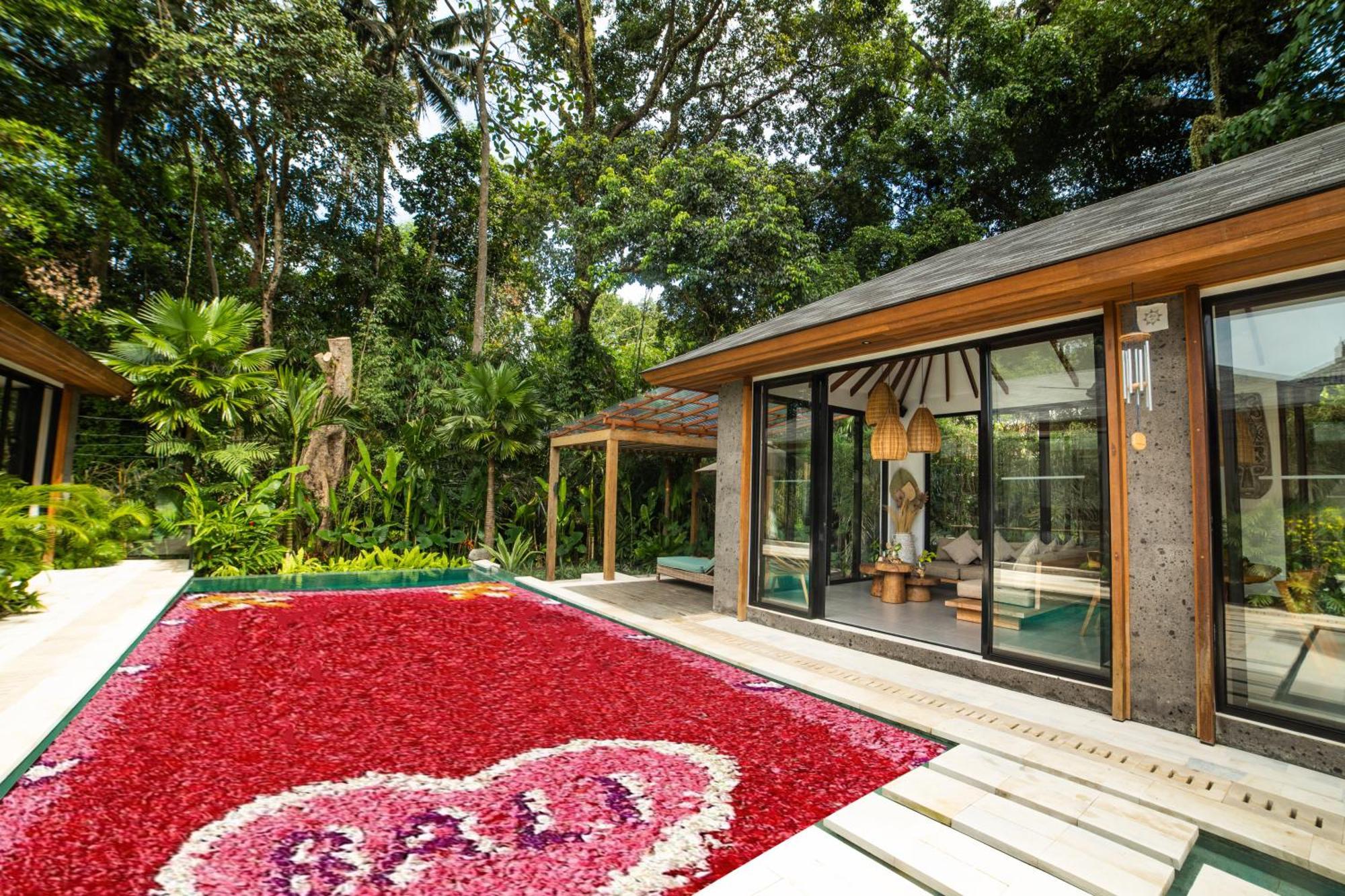 Sunny Side Private Pool And Free Xmax Bike Villa Ubud