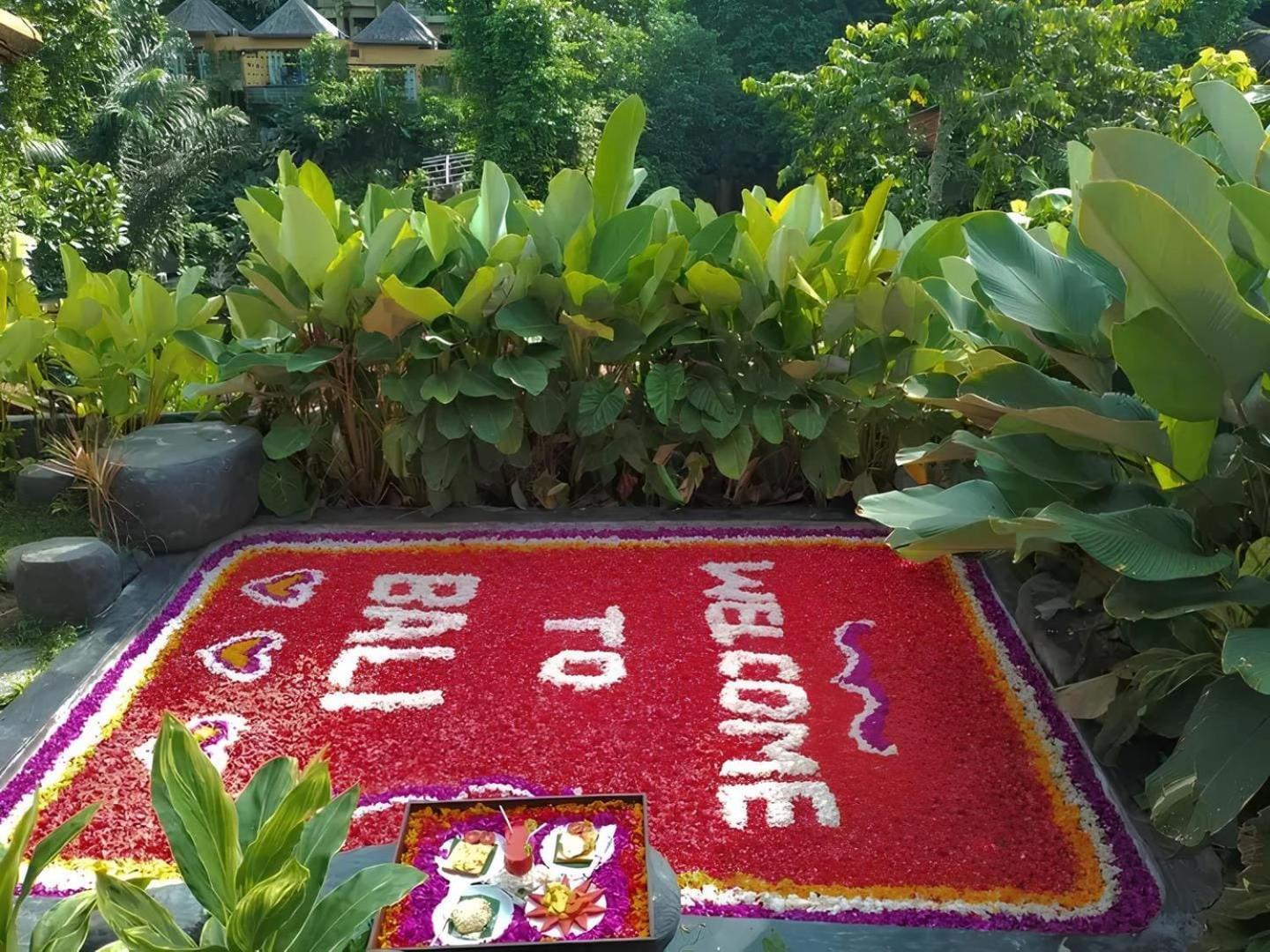 Kungkang 2 *