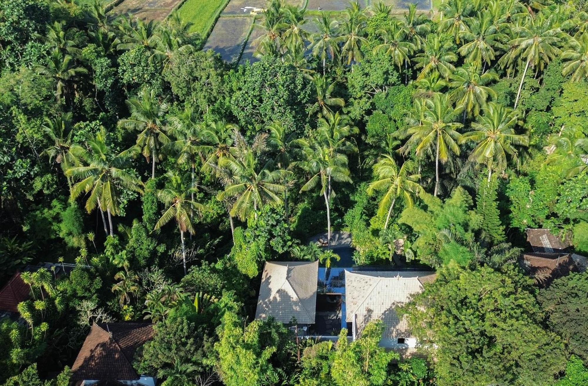 The Ubari Bali - Luxury Riverside Escape Ubud (Bali)