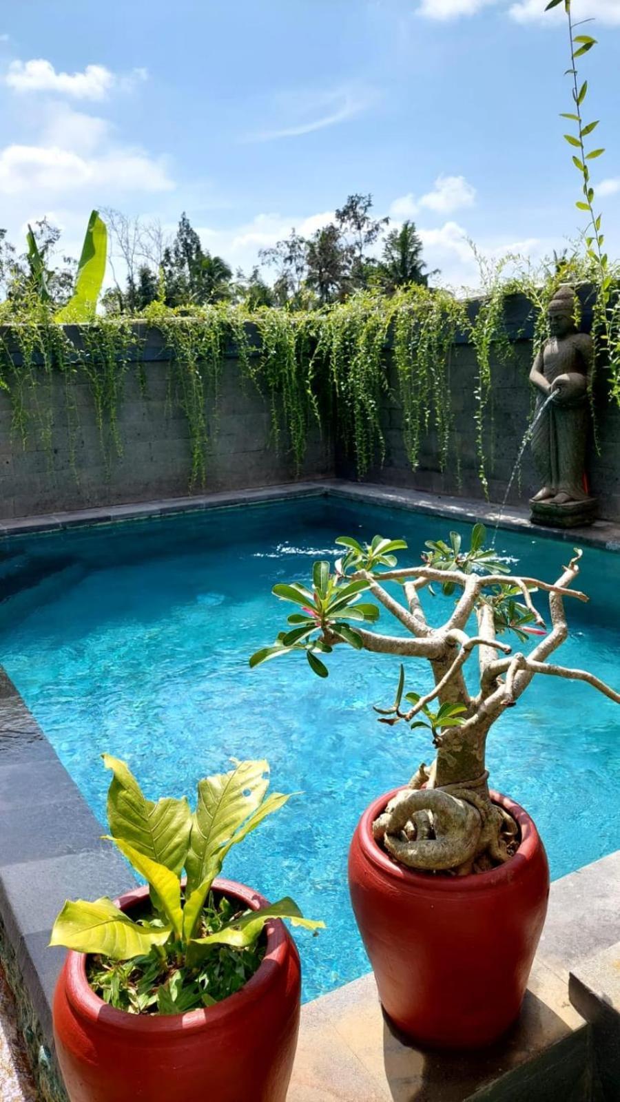 Mb Villa Ubud (Bali)