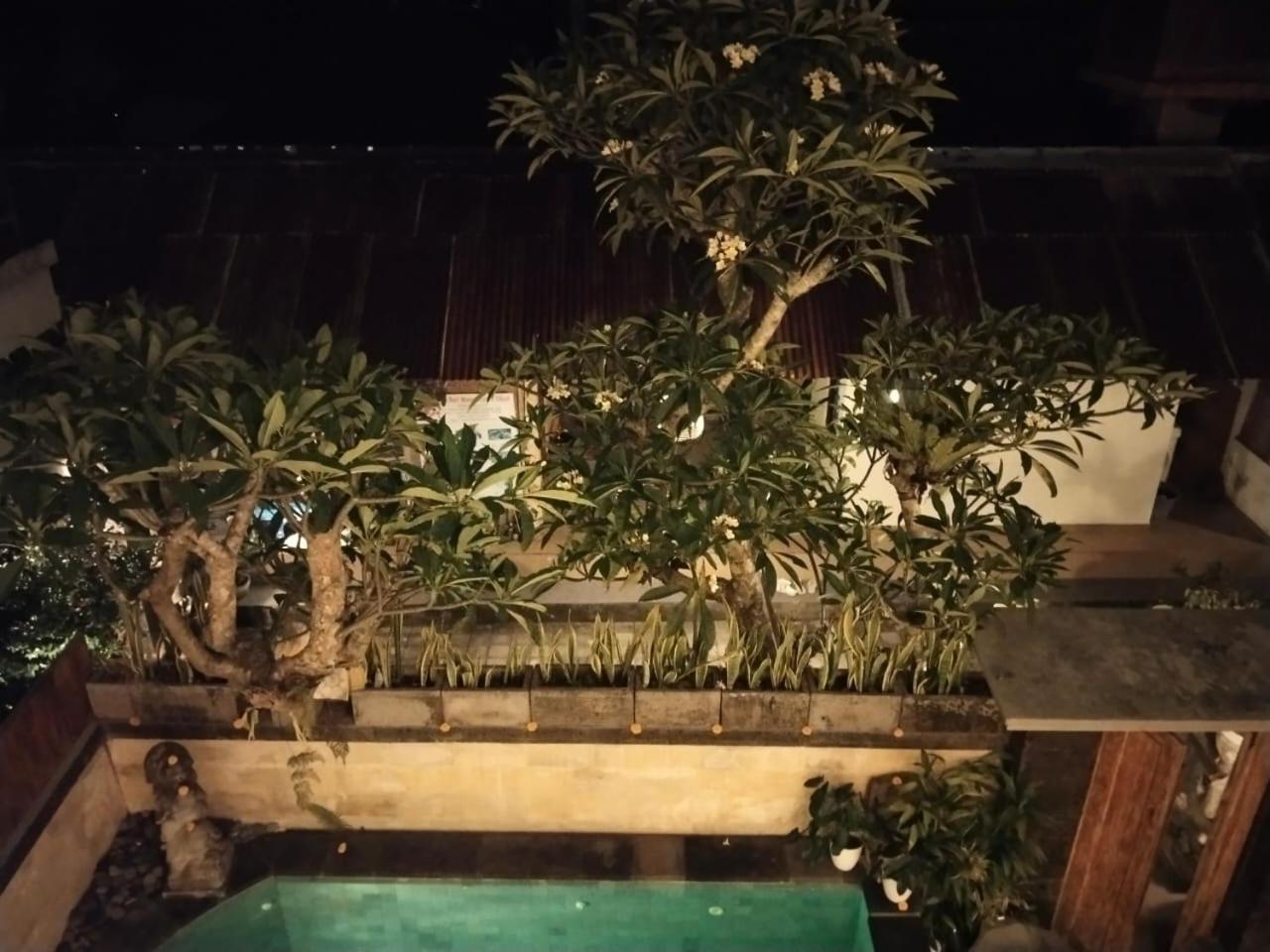 Danu House Ubud (Bali)