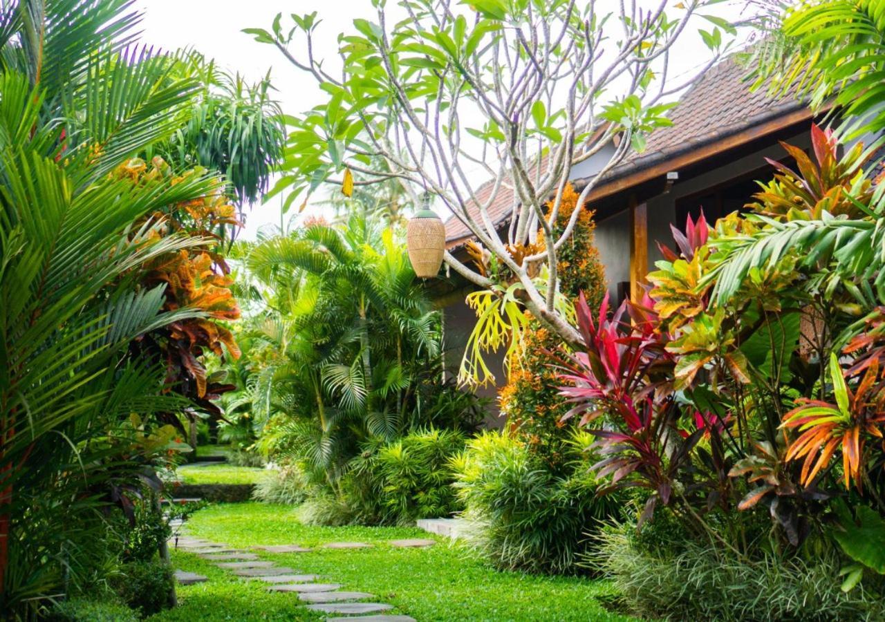 Coconut * Ubud