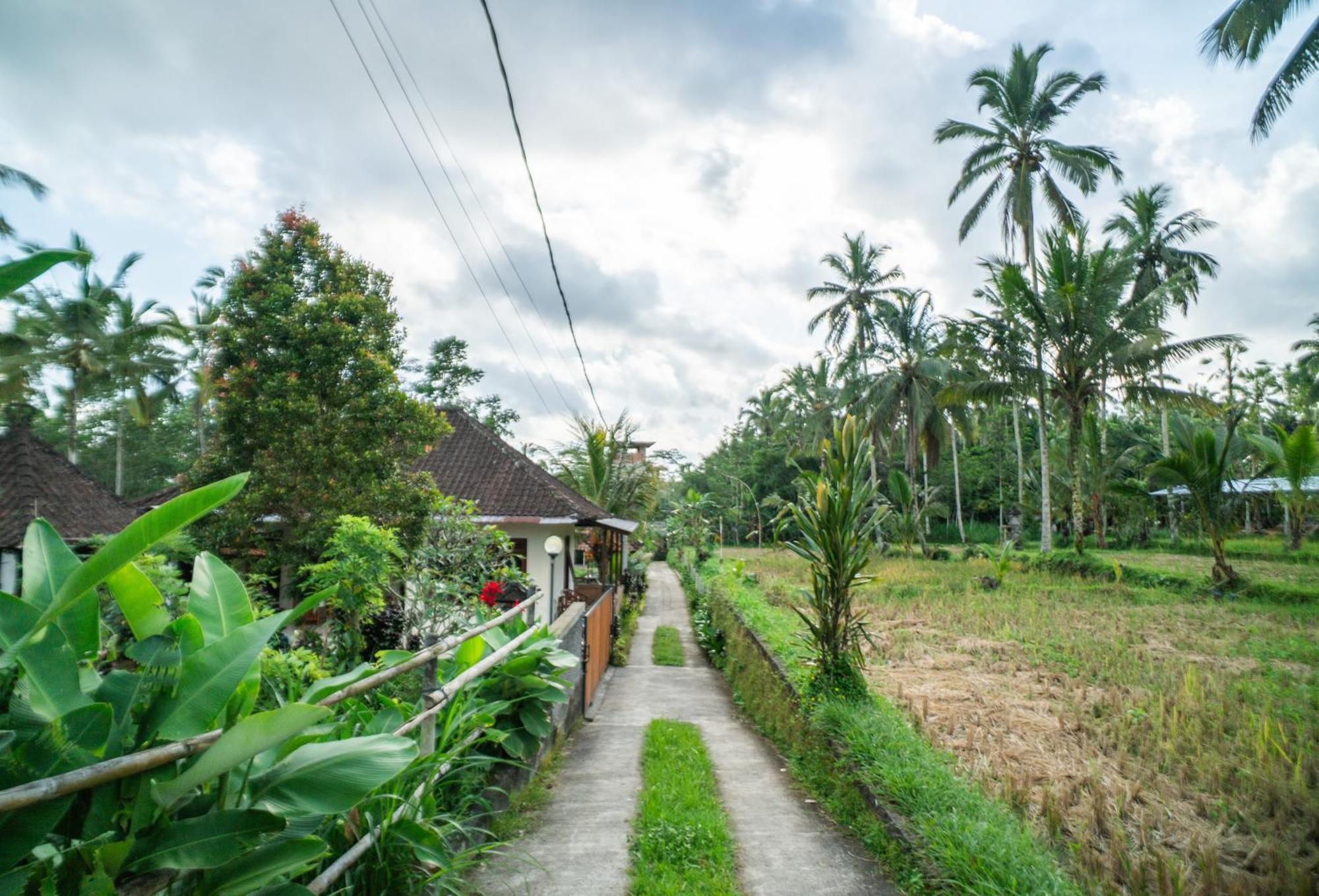 Prayatna