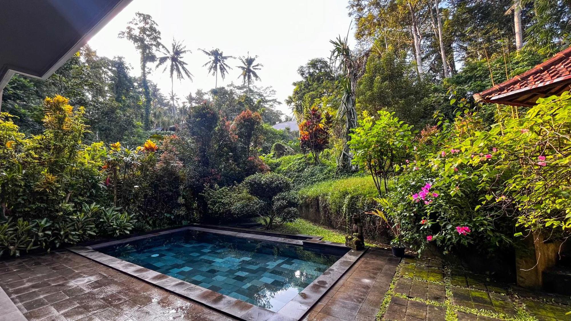Nadiya Jungle Holiday home