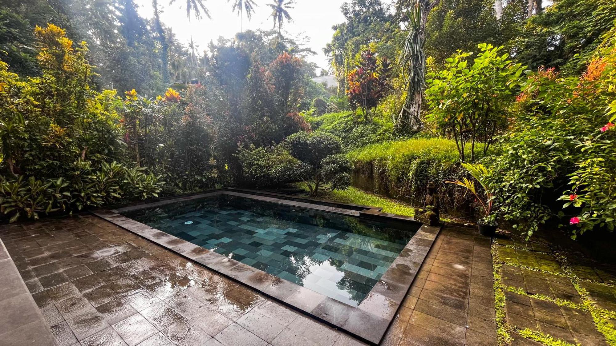 Nadiya Jungle *