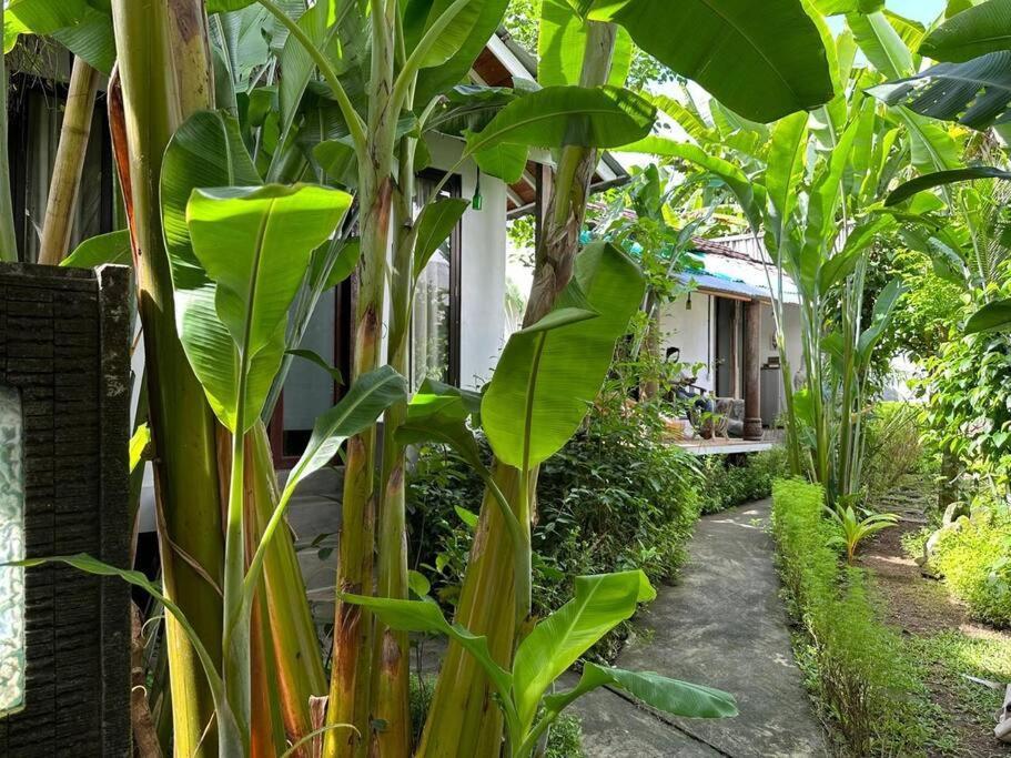 Odesavilla Close To Center Ubud (Bali)