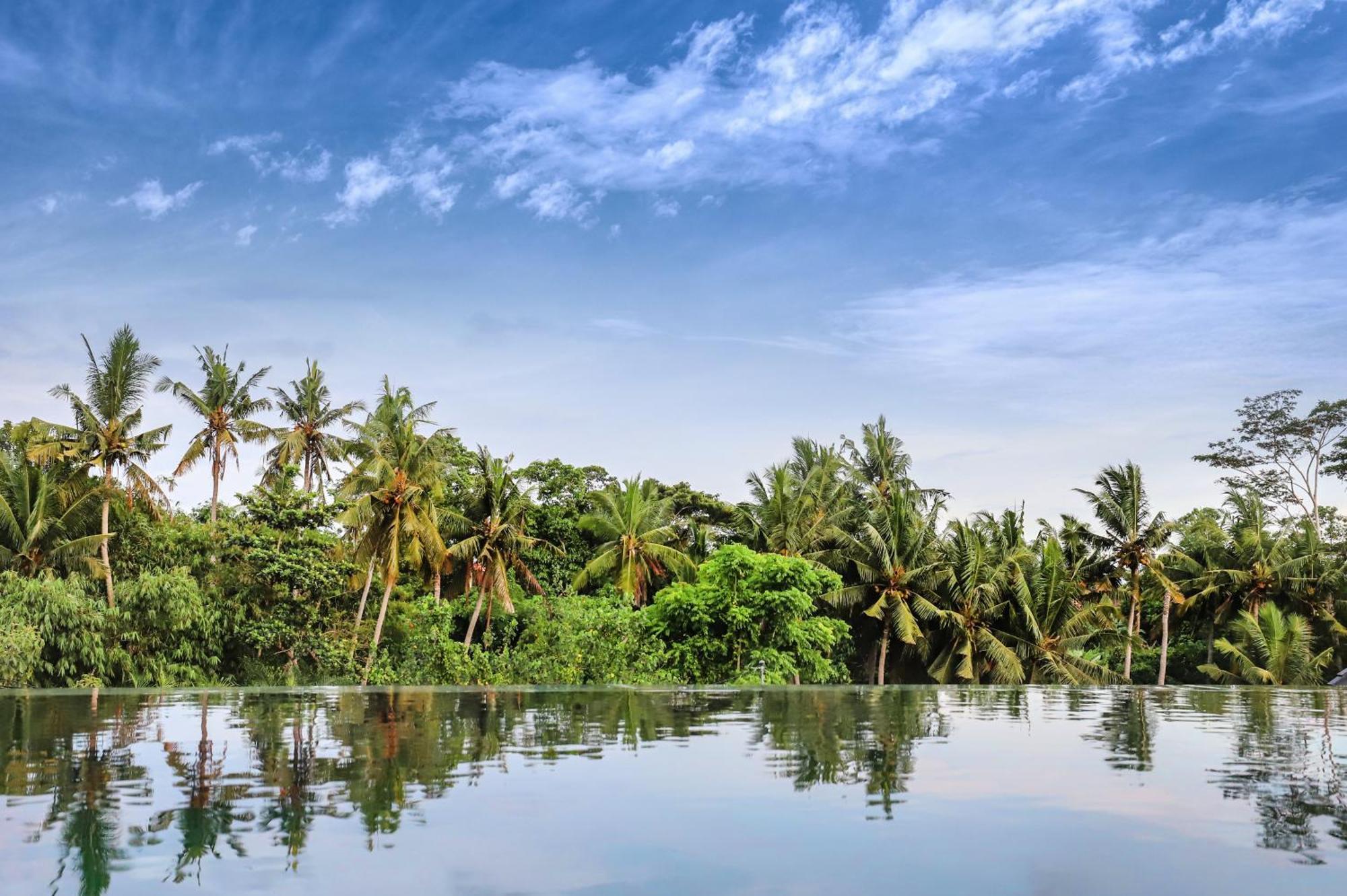 Villa Beyond 3bdr, 2 Fl, 2 Pools, 2 Living Ubud (Bali)