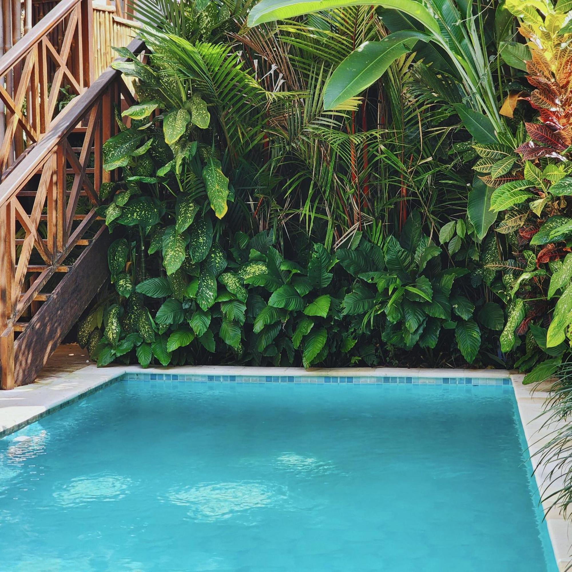 Danaya's Ubud (Bali)