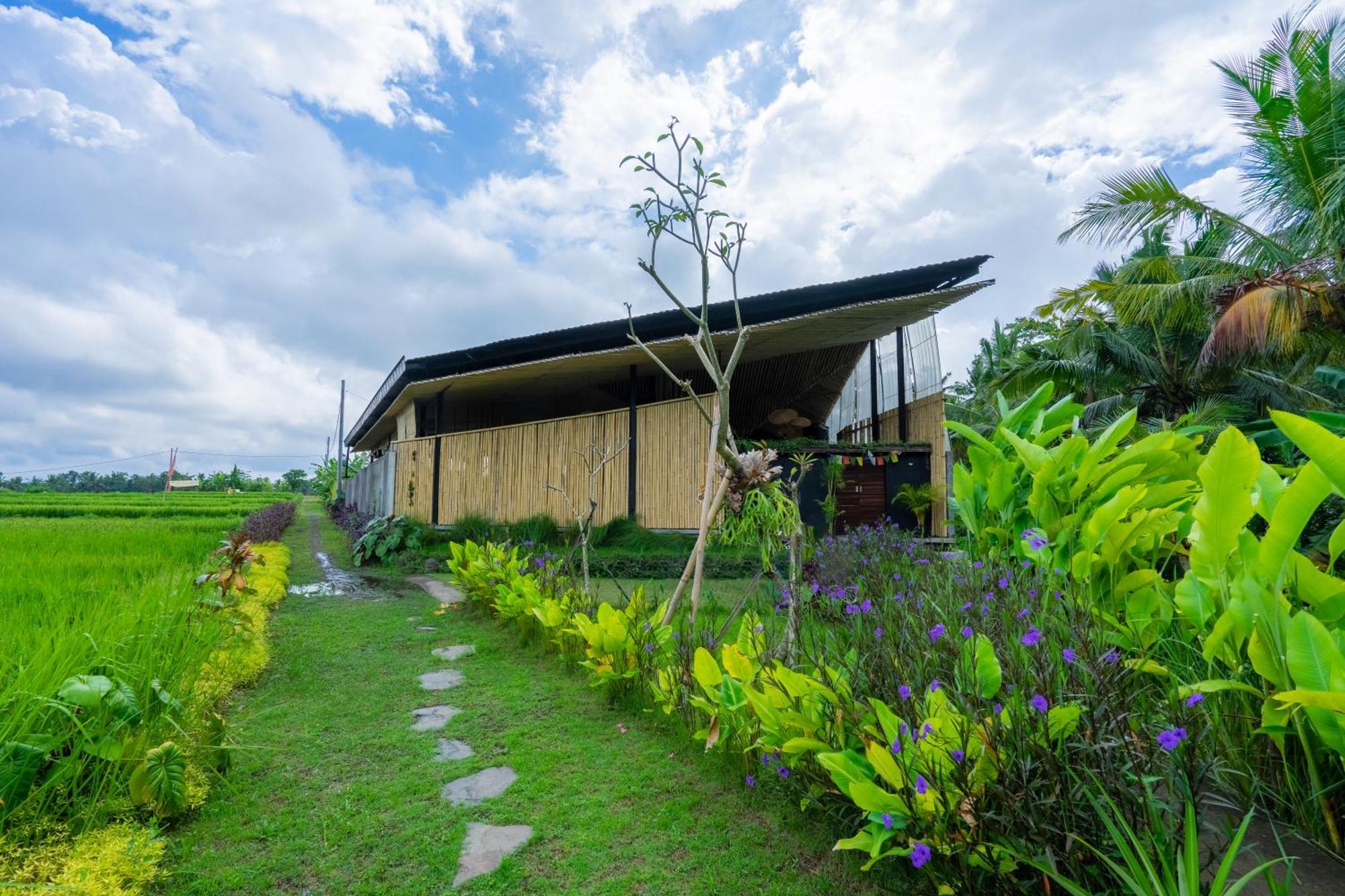 Let's Get Lost Villa *