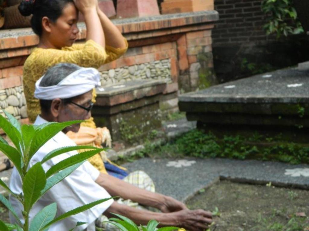 Homestay Desa Cepaka Ubud (Bali)