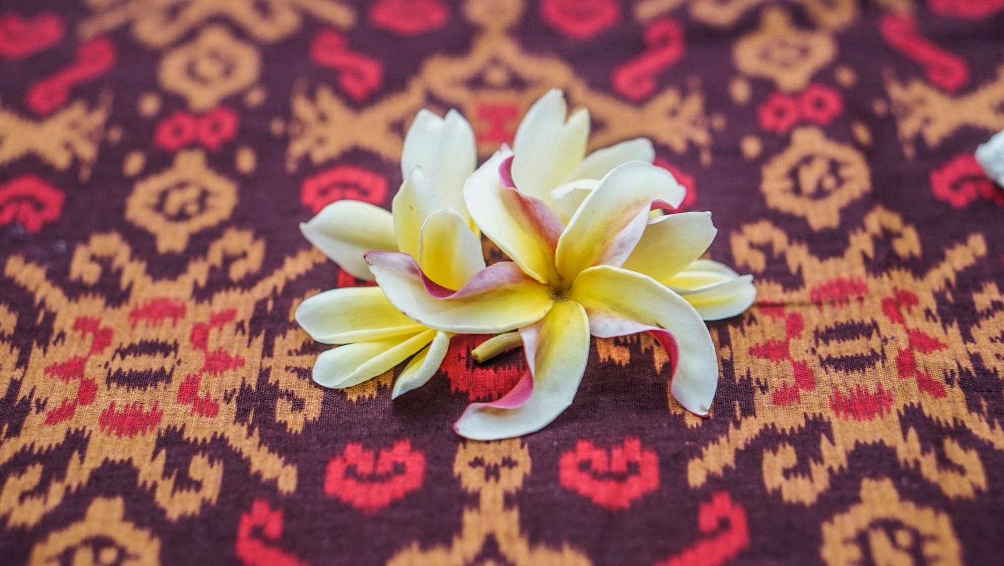 Kanaka House Homestay Ubud (Bali)