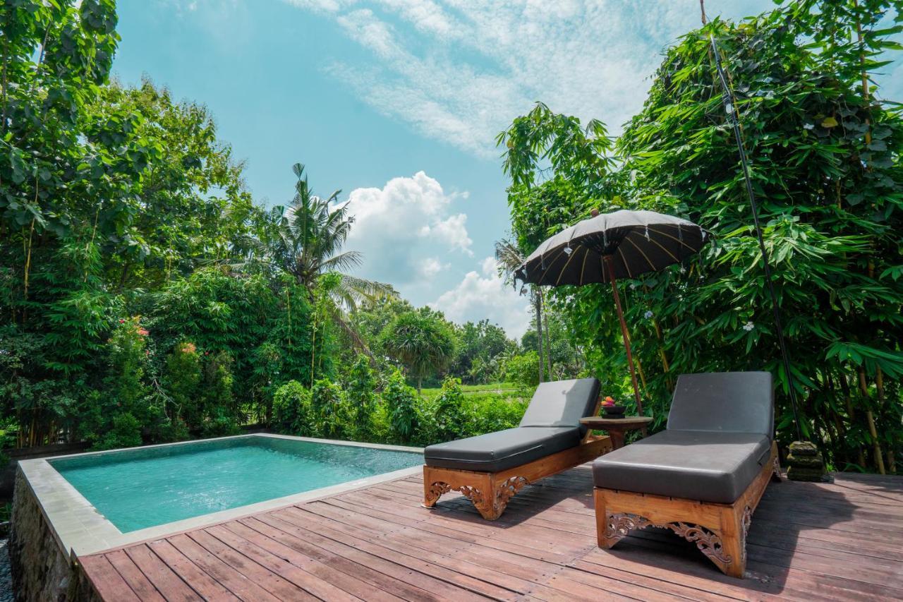 Kajane Yangloni At Bali
