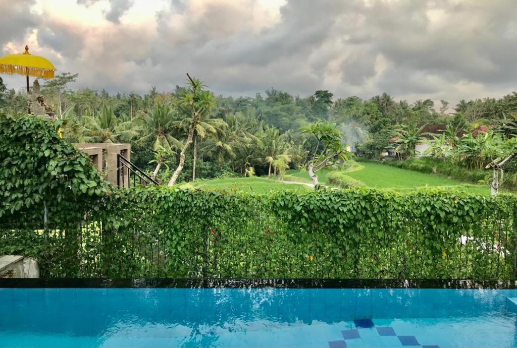 Dream House Ubud