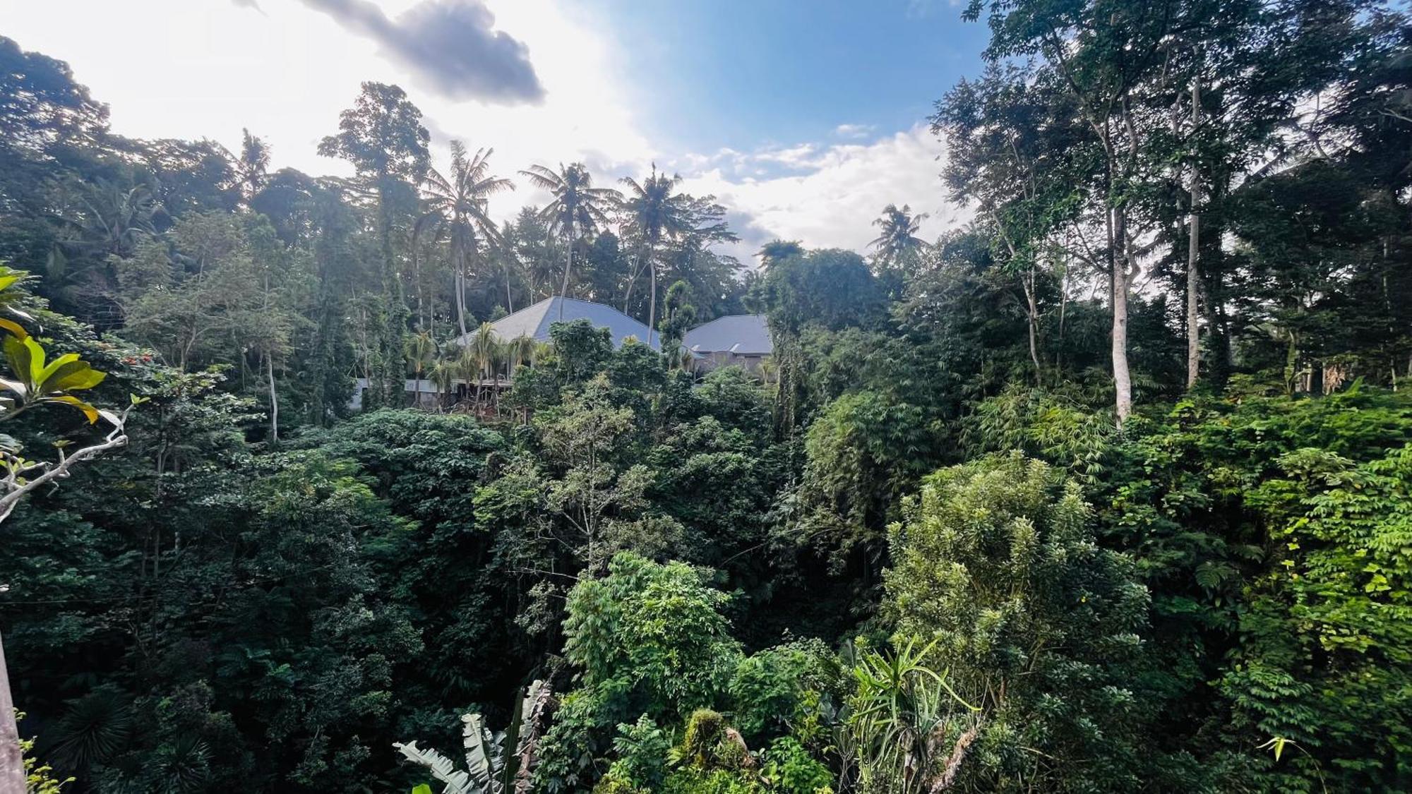 Nadiya Jungle * Ubud (Bali)
