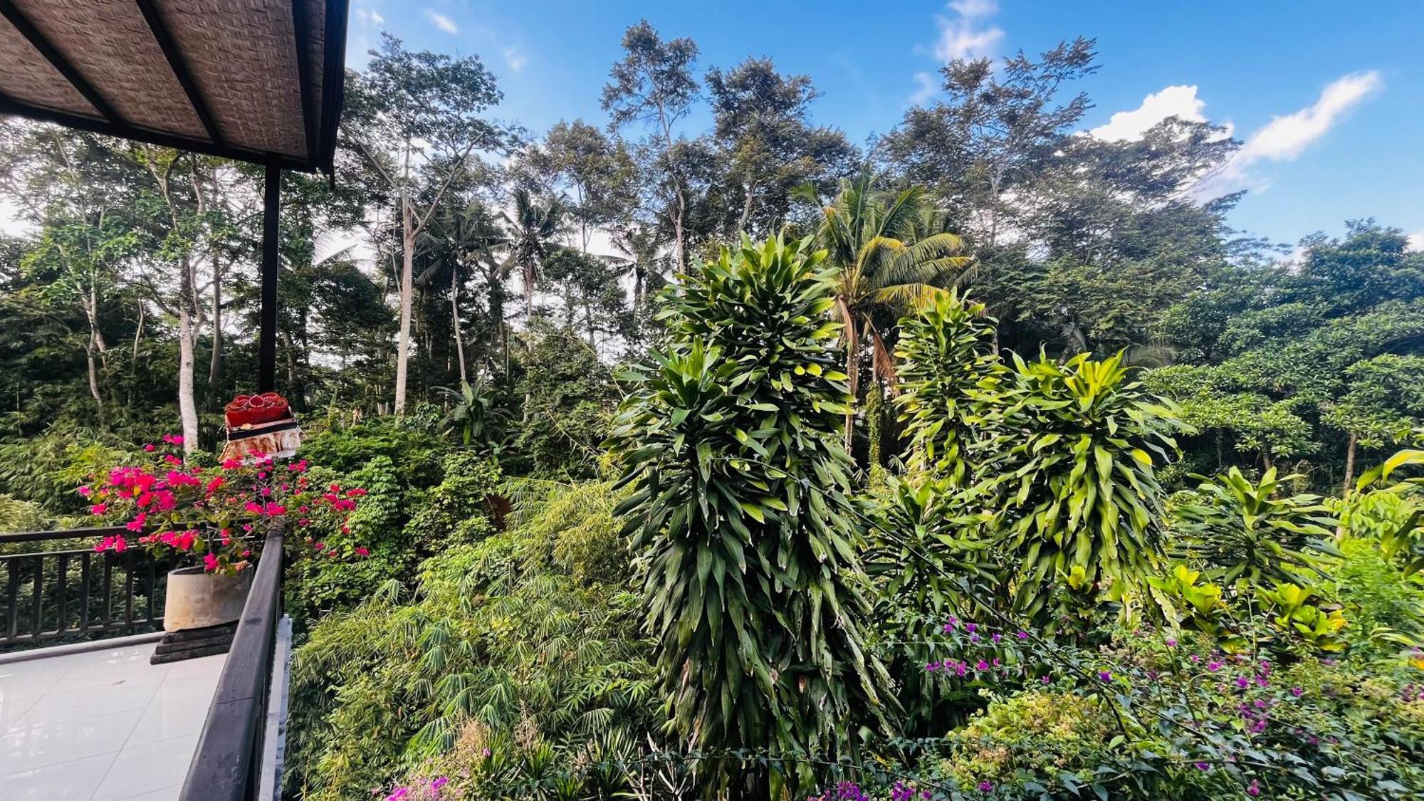 Holiday home Nadiya Jungle