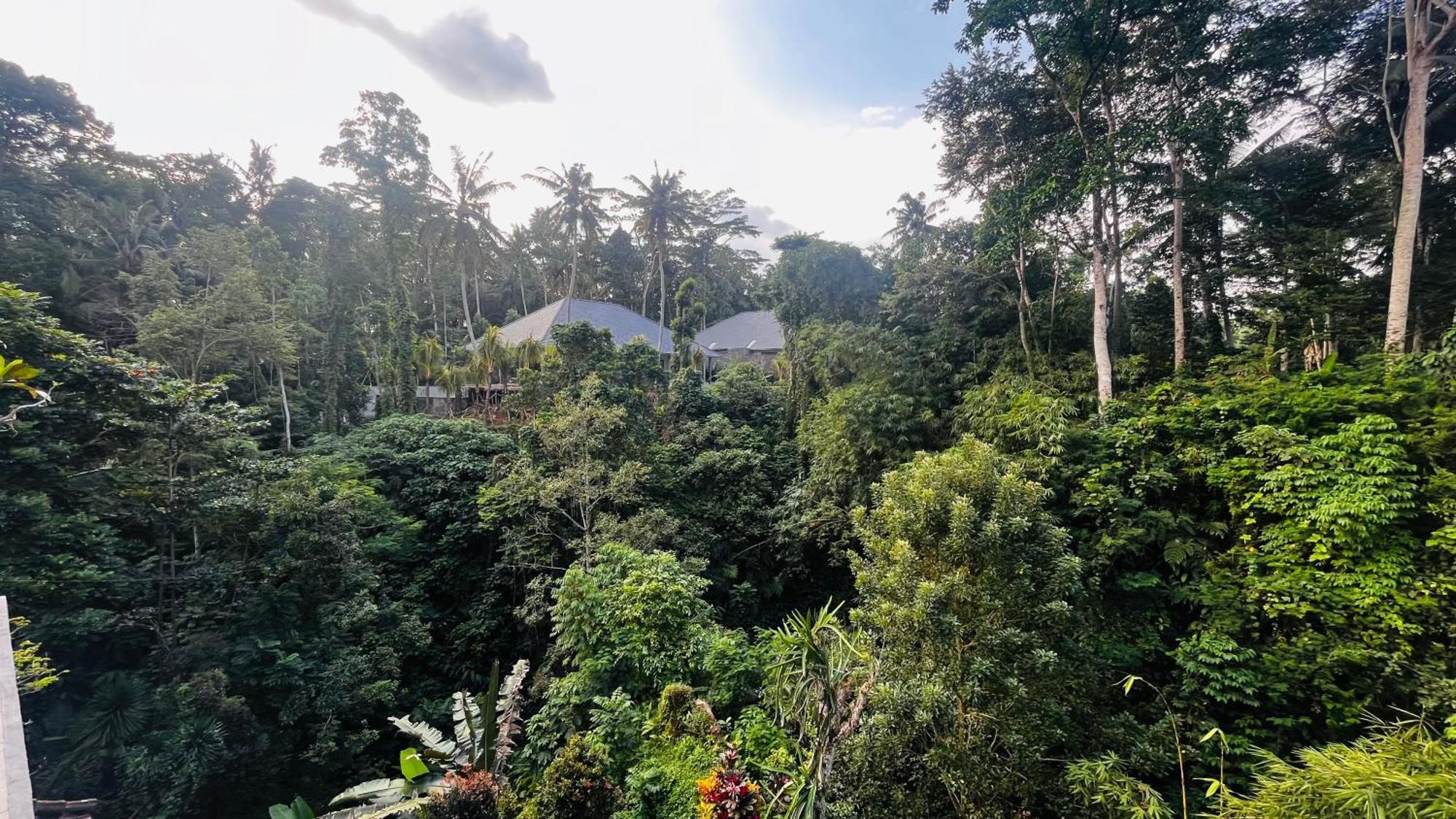 Nadiya Jungle Holiday home *