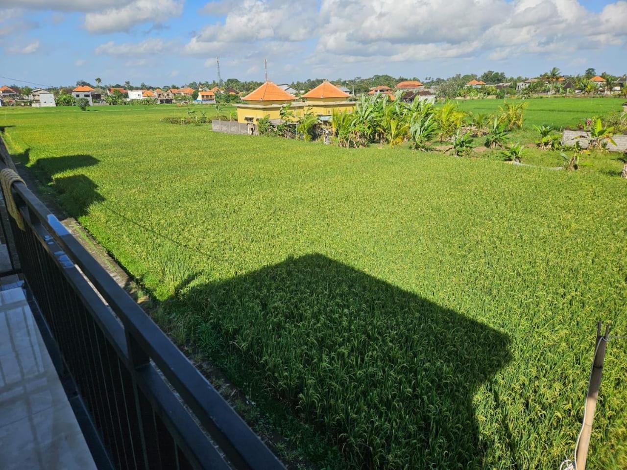 Krisna Tapan * Ubud