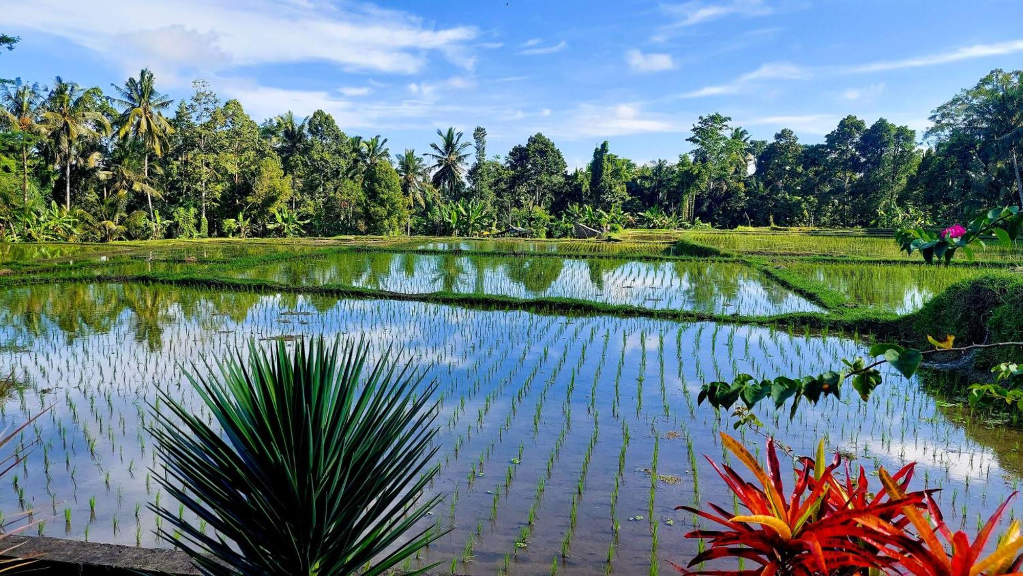 Taman Eden Ubud (Bali)
