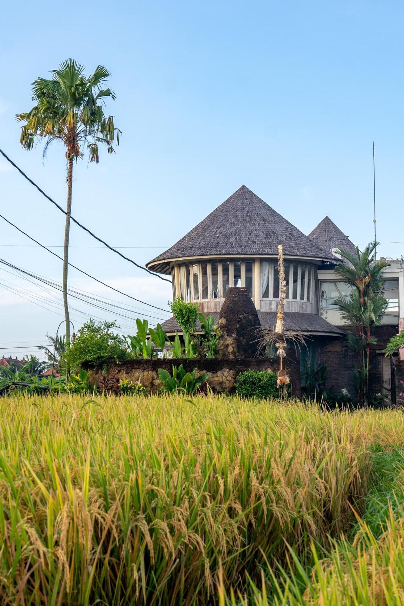 Campo de férias Aryaswara Ubud