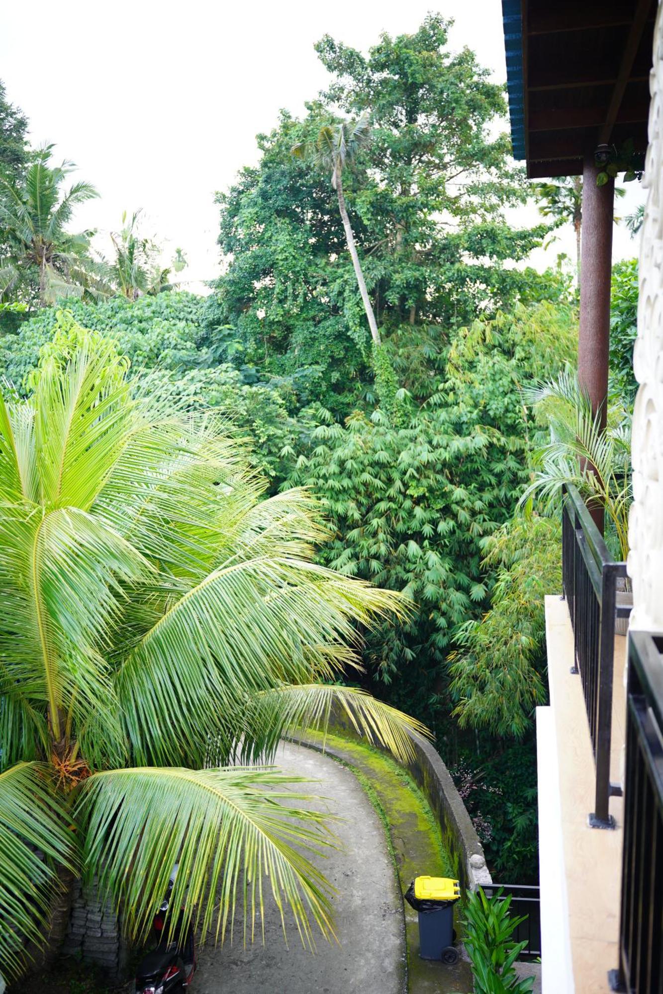 House * Ubud (Bali)
