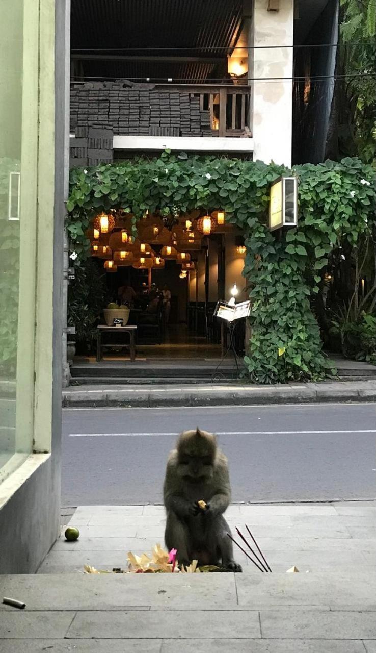 Guest house Gata *