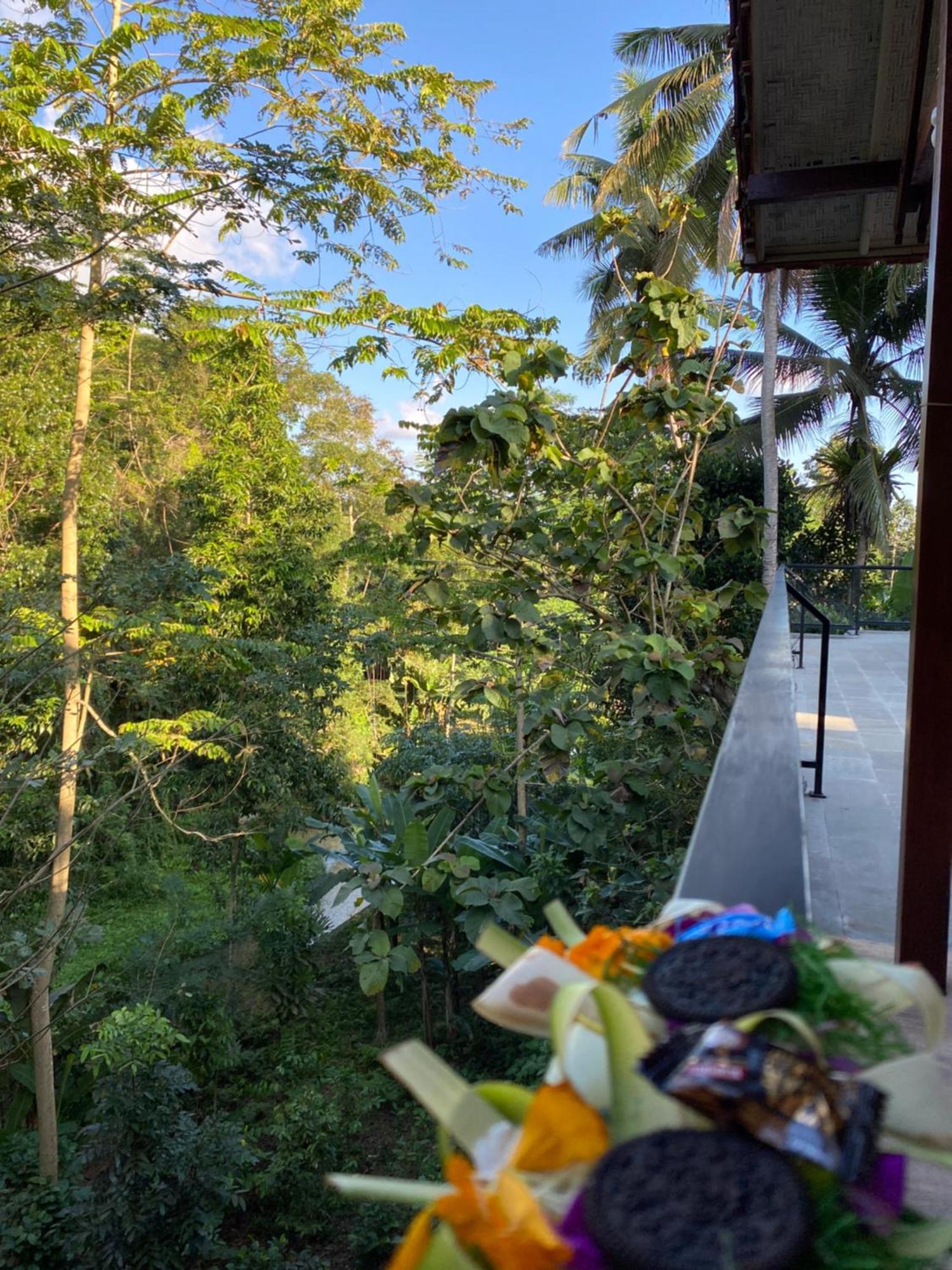 Guest house Umah Temuku Ubud (Bali)