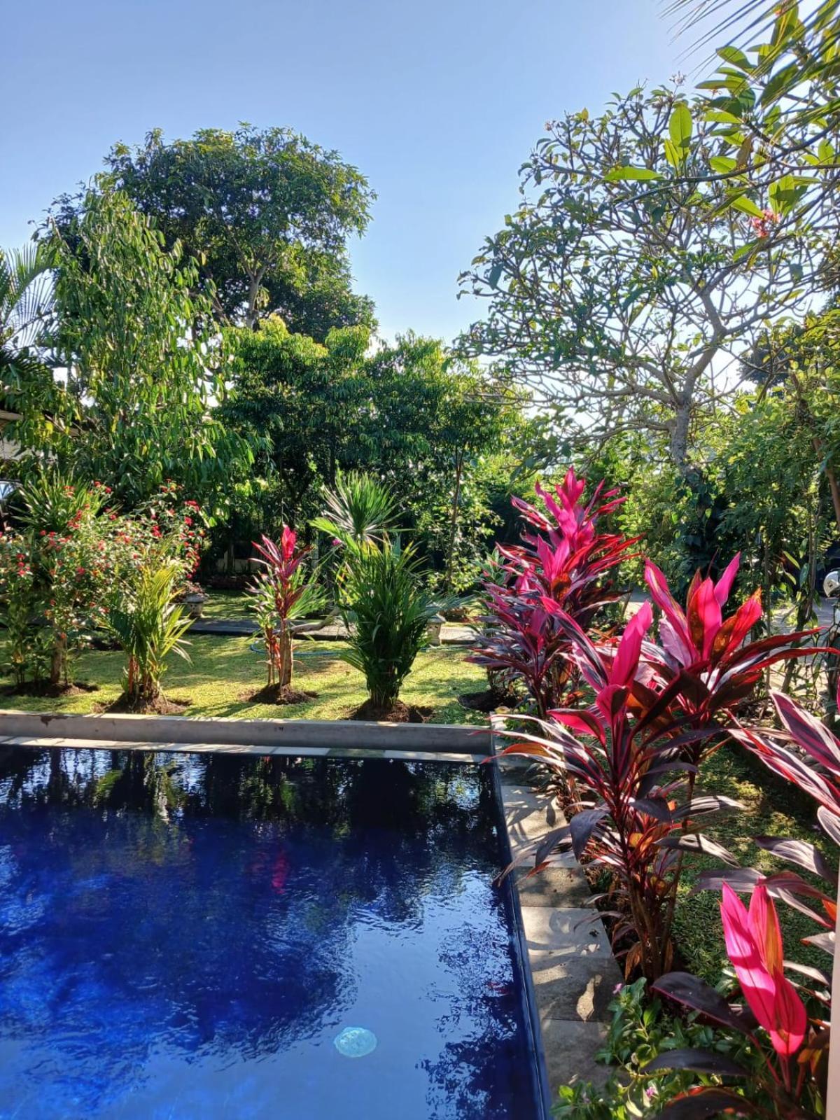 Puri Amartha Homestay