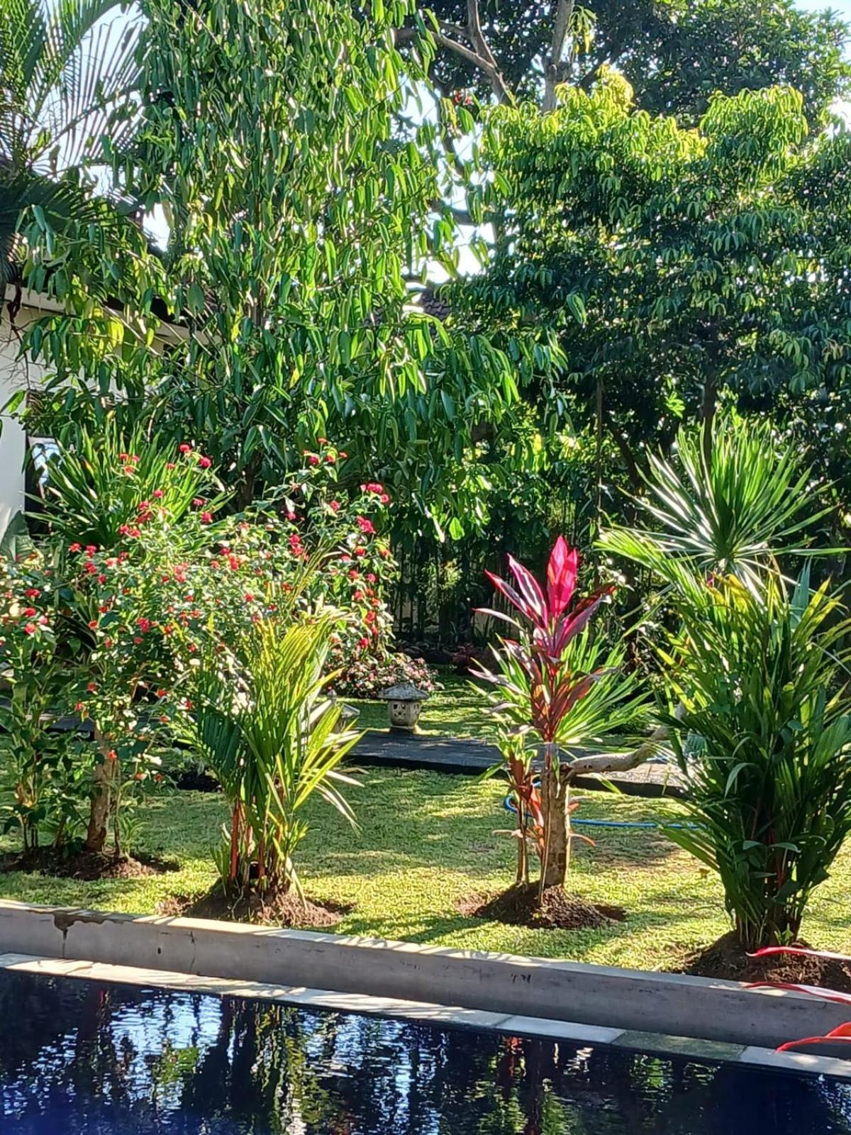 Puri Amartha Homestay Ubud (Bali)