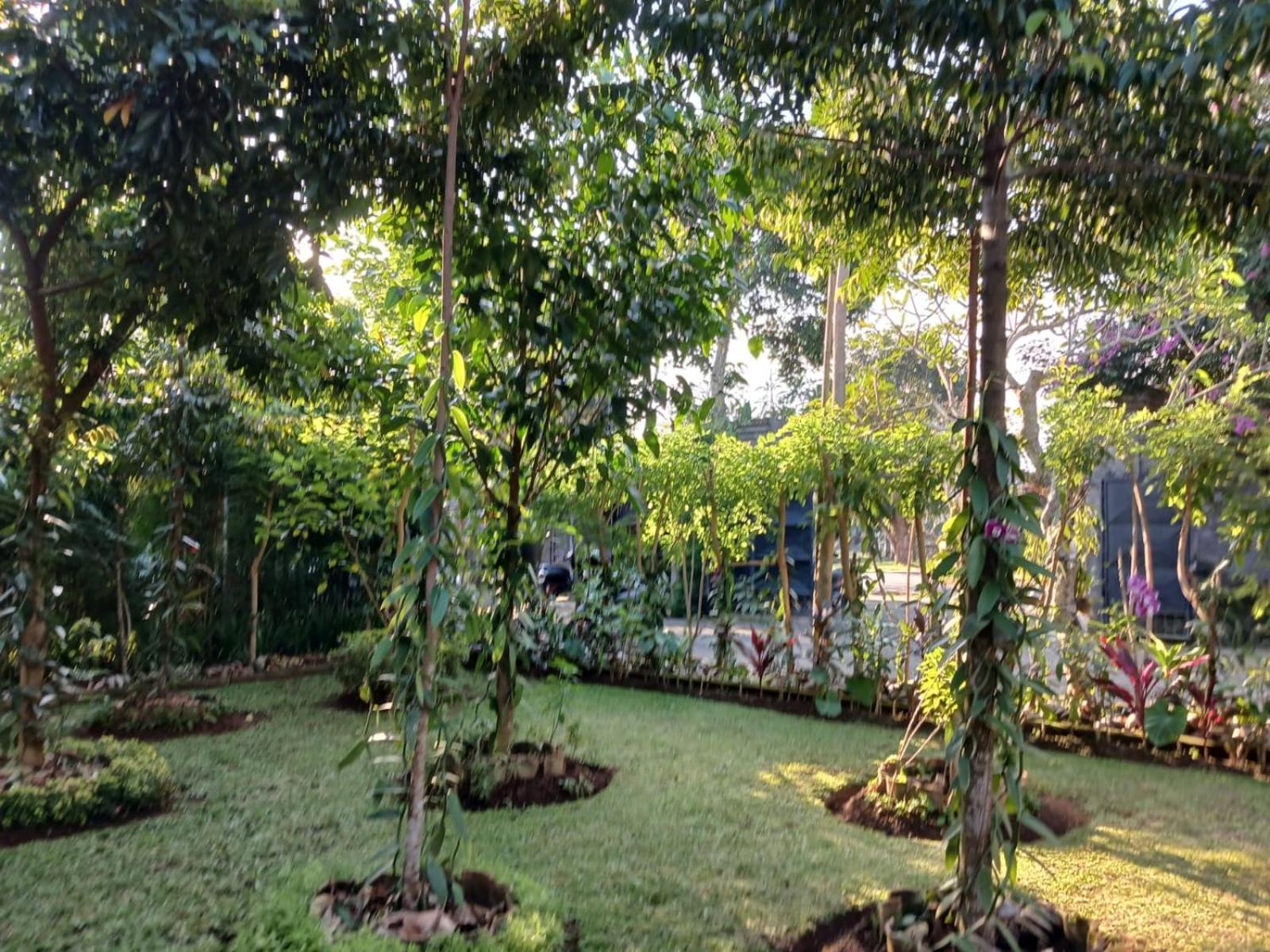 Homestay Puri Amartha
