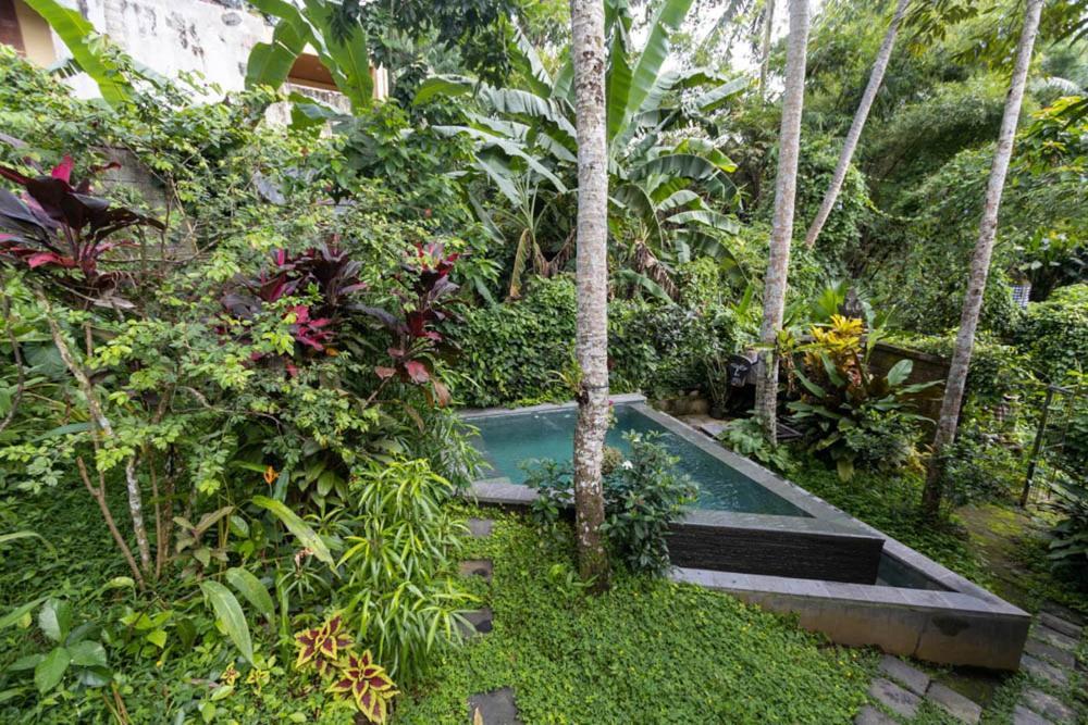 Treehouse With Private Pool Near Yogabarn - In Center Ubud (Bali)