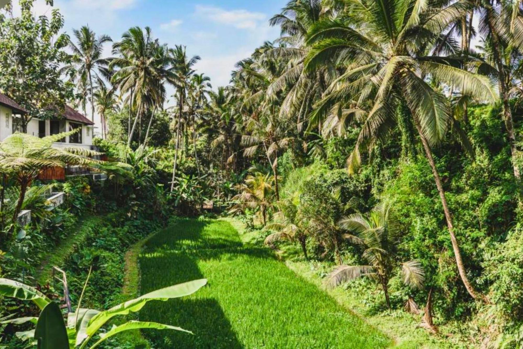 Villa Romance Forest View 2 Bedroom Private Pool Zn21 Ubud (Bali)