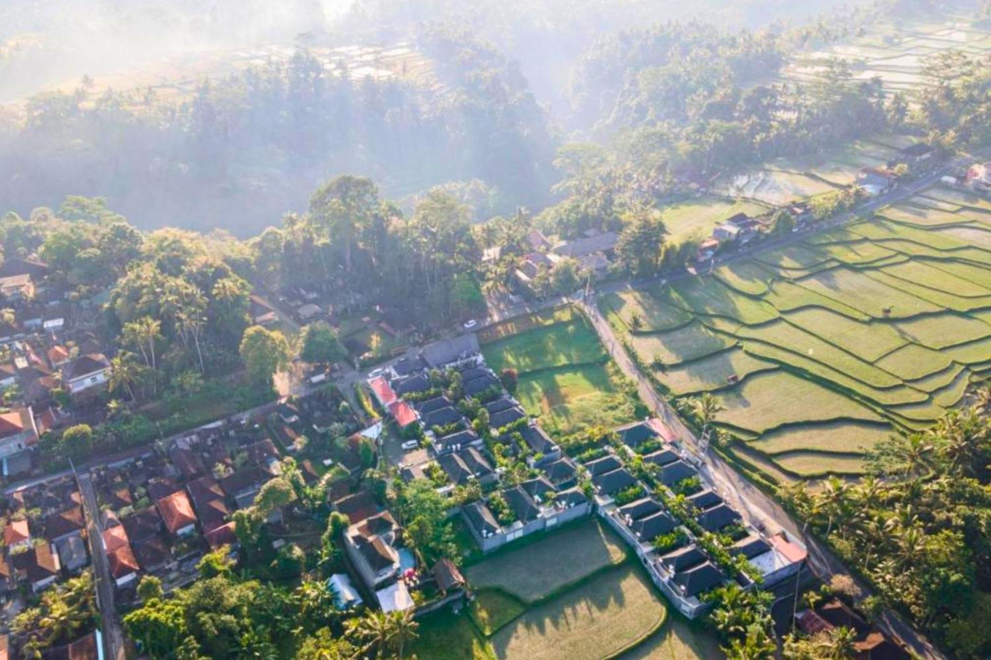 Daisy 1 Bedroom Private With Rice Field View Zn60 Ubud (Bali)