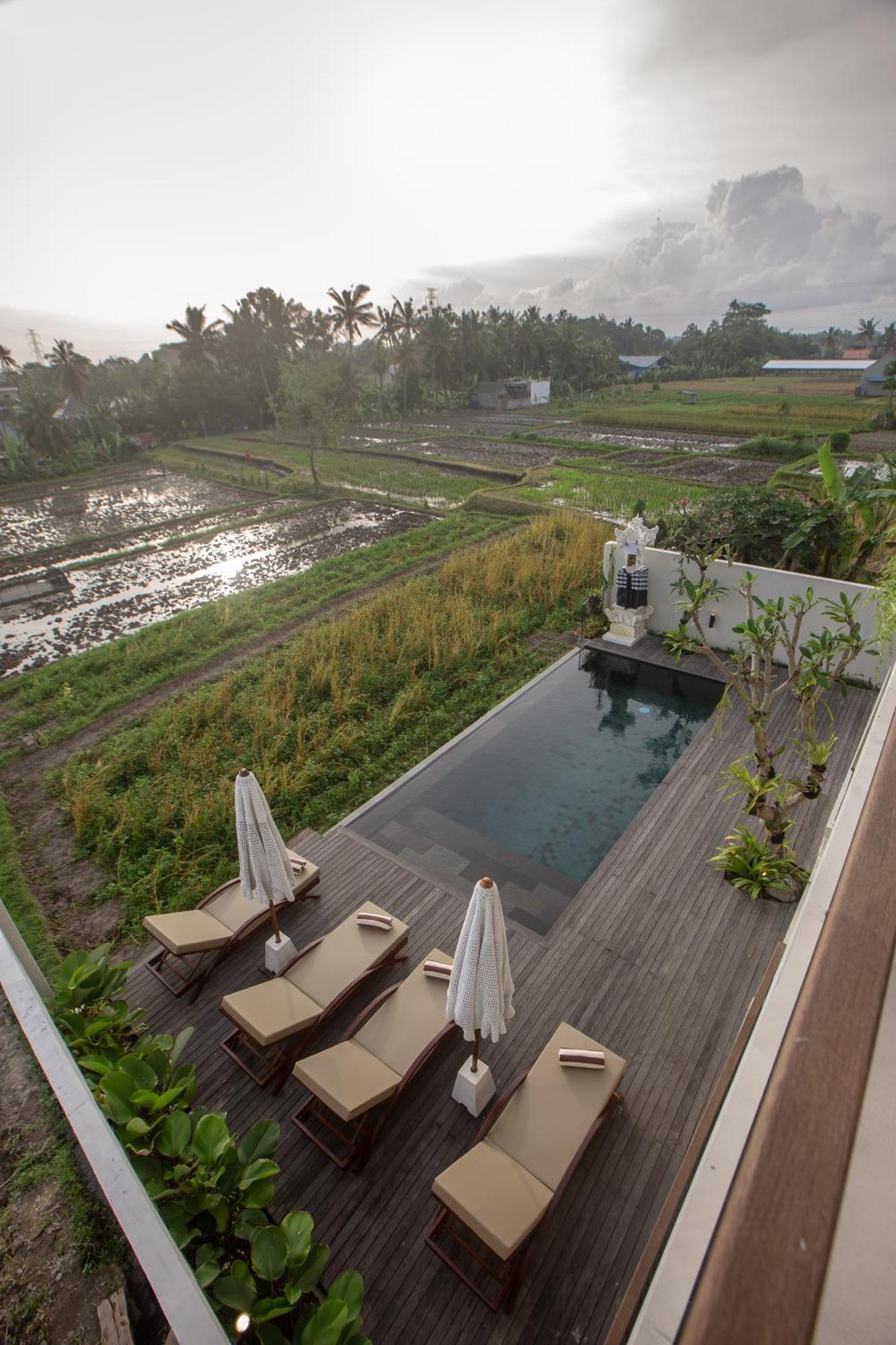 Momo Ubud (Bali)