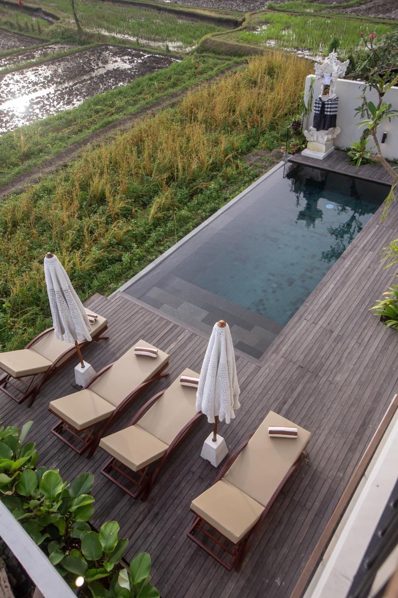 Villa Momo