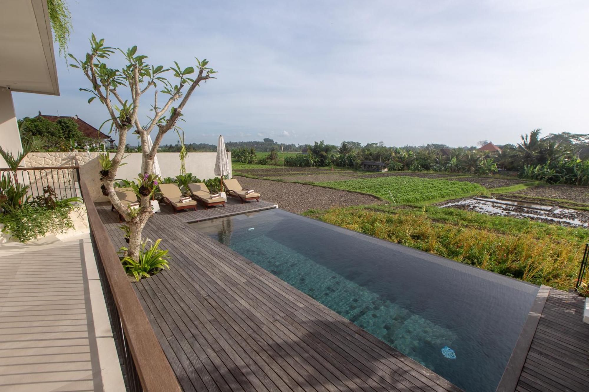 Momo Villa