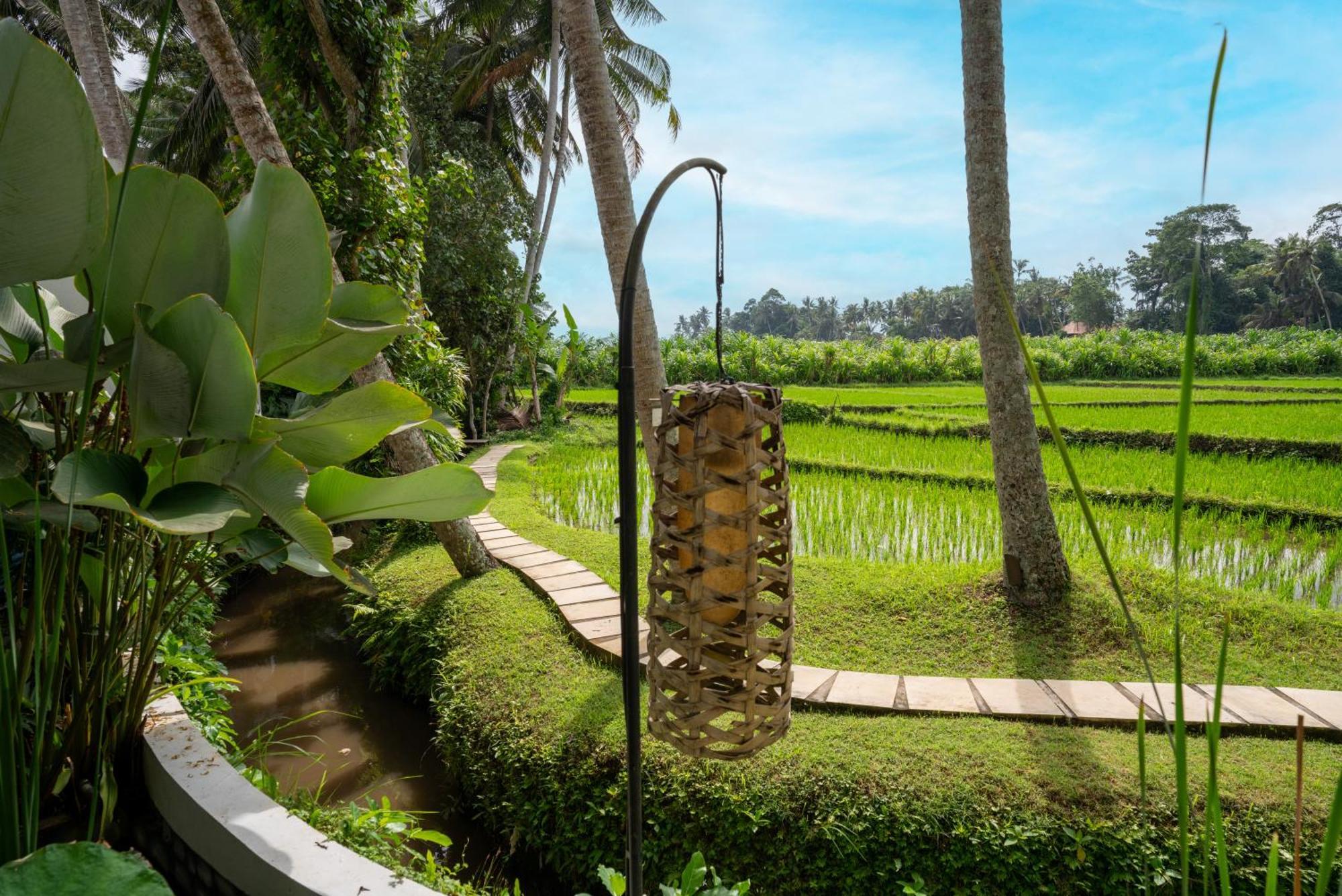 Fall In With Rose Moon Villa Ubud (Bali)