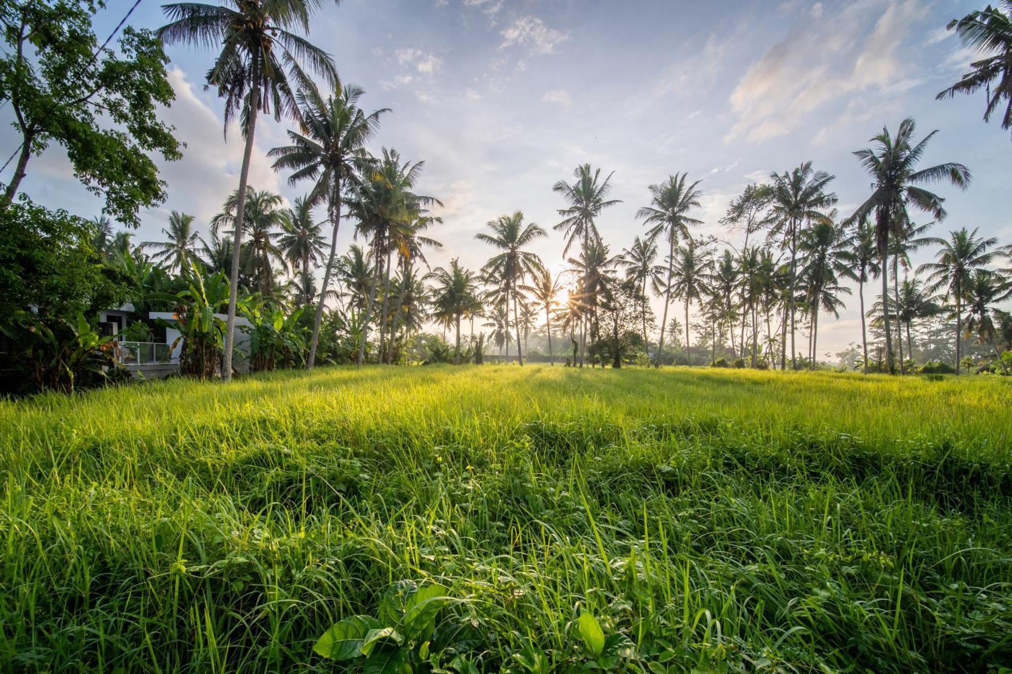 Casa Estrella - Luxe In Ubud (Bali)