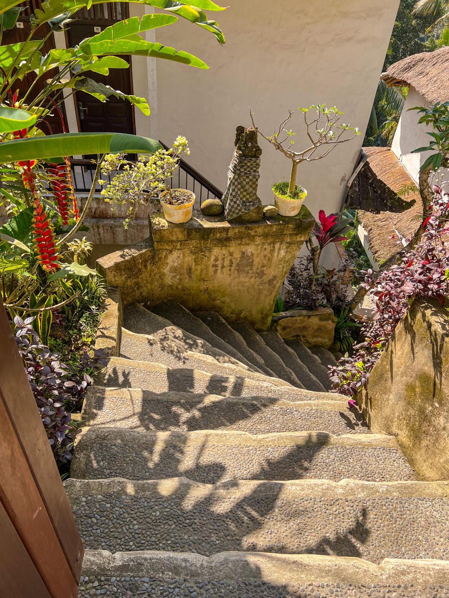 Aparthotel Made Punias Jungle Paradise *