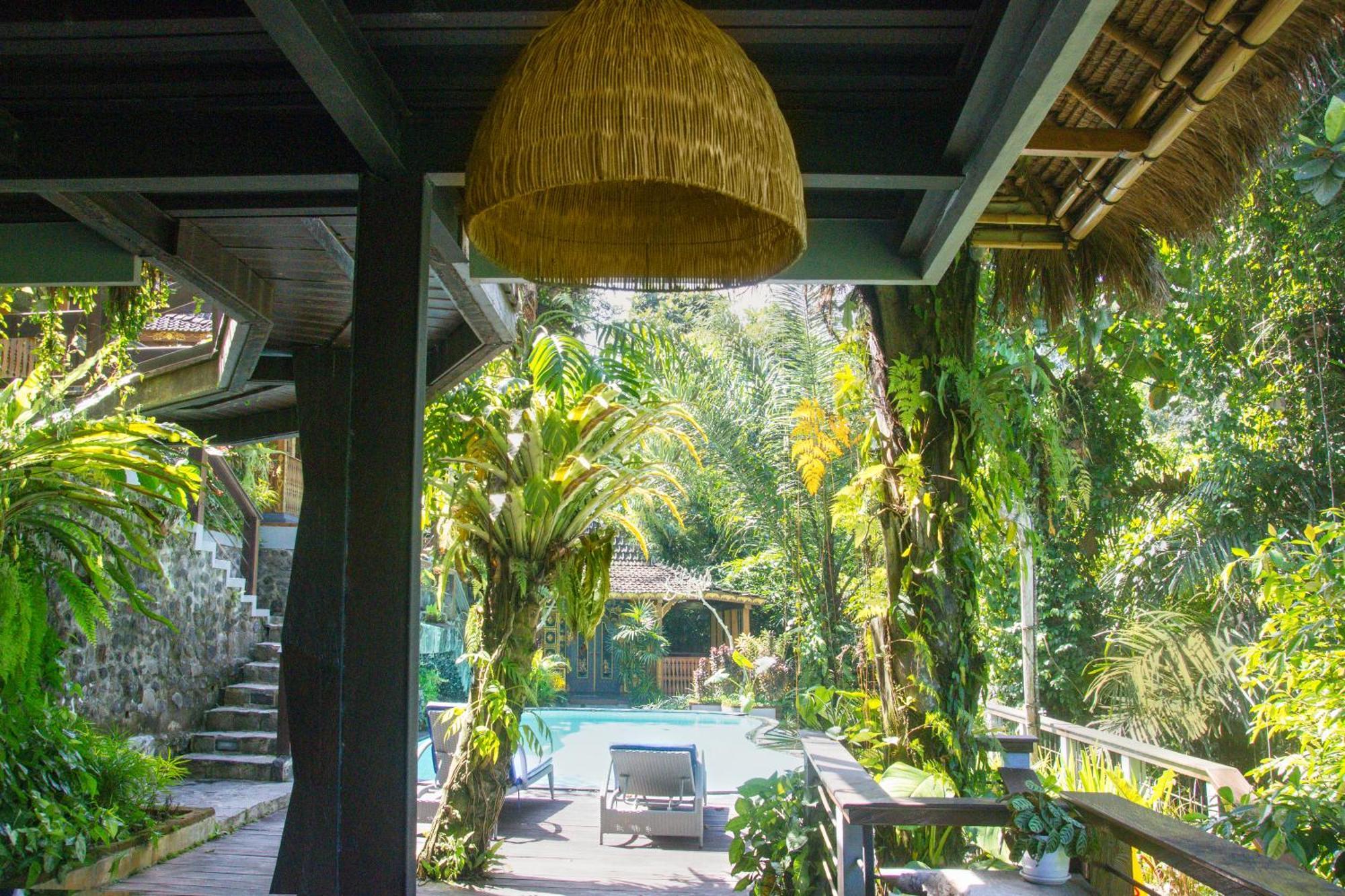 Bed & Breakfast Parvati Retreat 3*